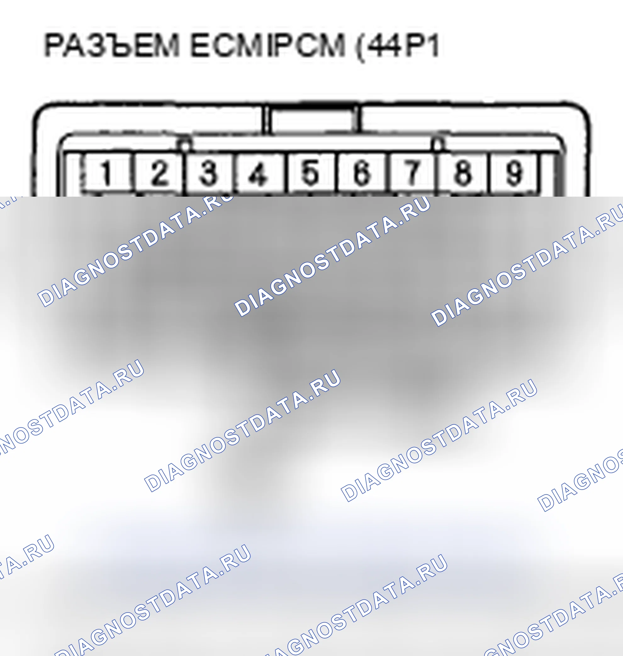Рис. 301. Acura CSX I