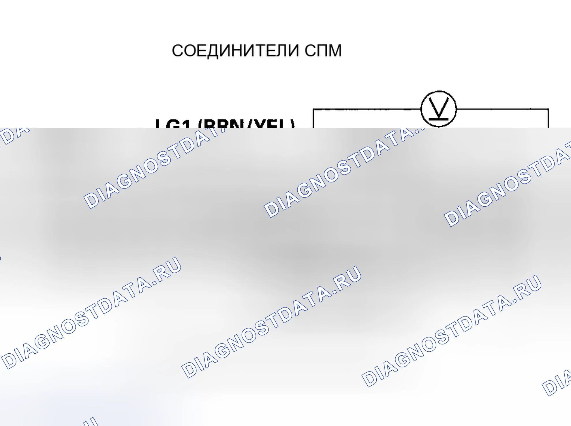 Рис. 552. Honda Element YH2