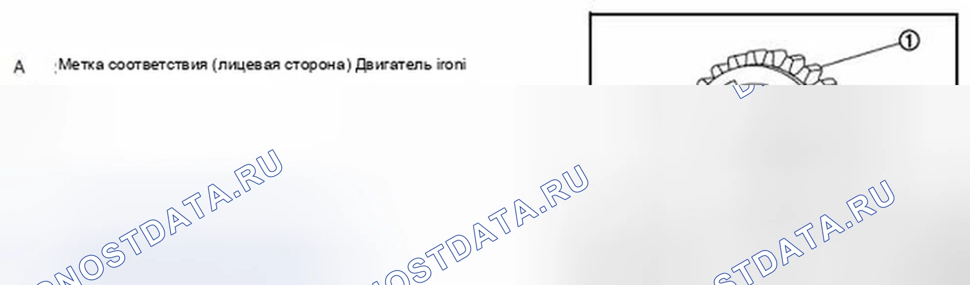 Рис. 800. Infiniti G37 IV рестайлинг