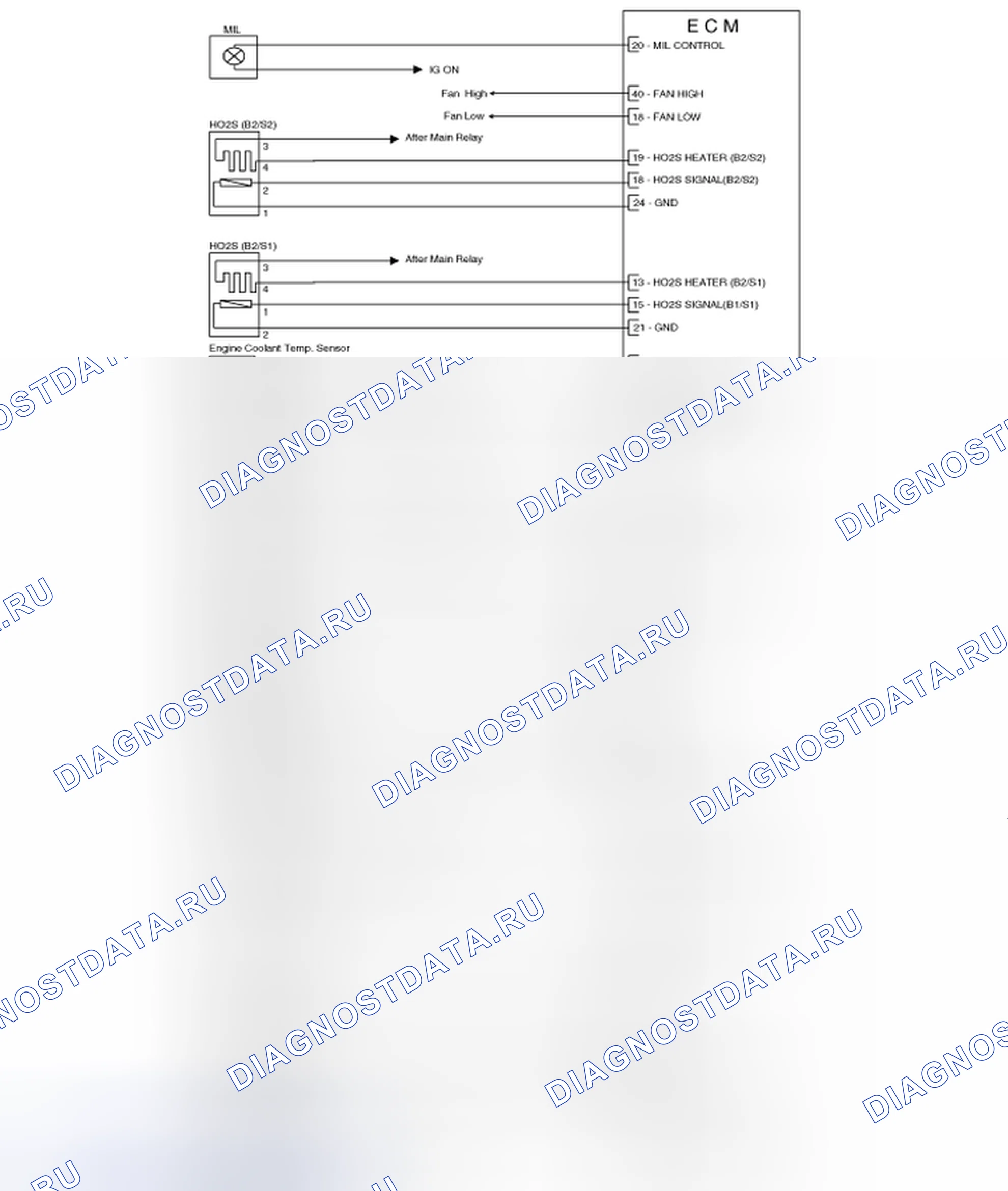 Рис. 295. Haval Chitu I