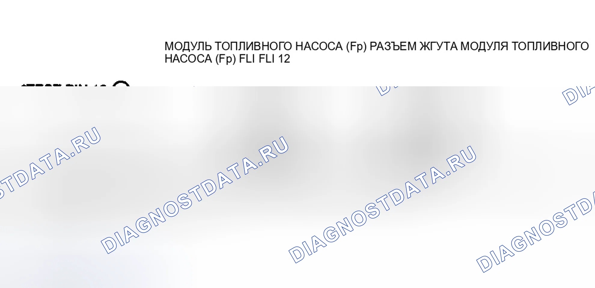 Рис. 45: Цепи и клеммы модуля топливного насоса. Ford Escort ZX2 