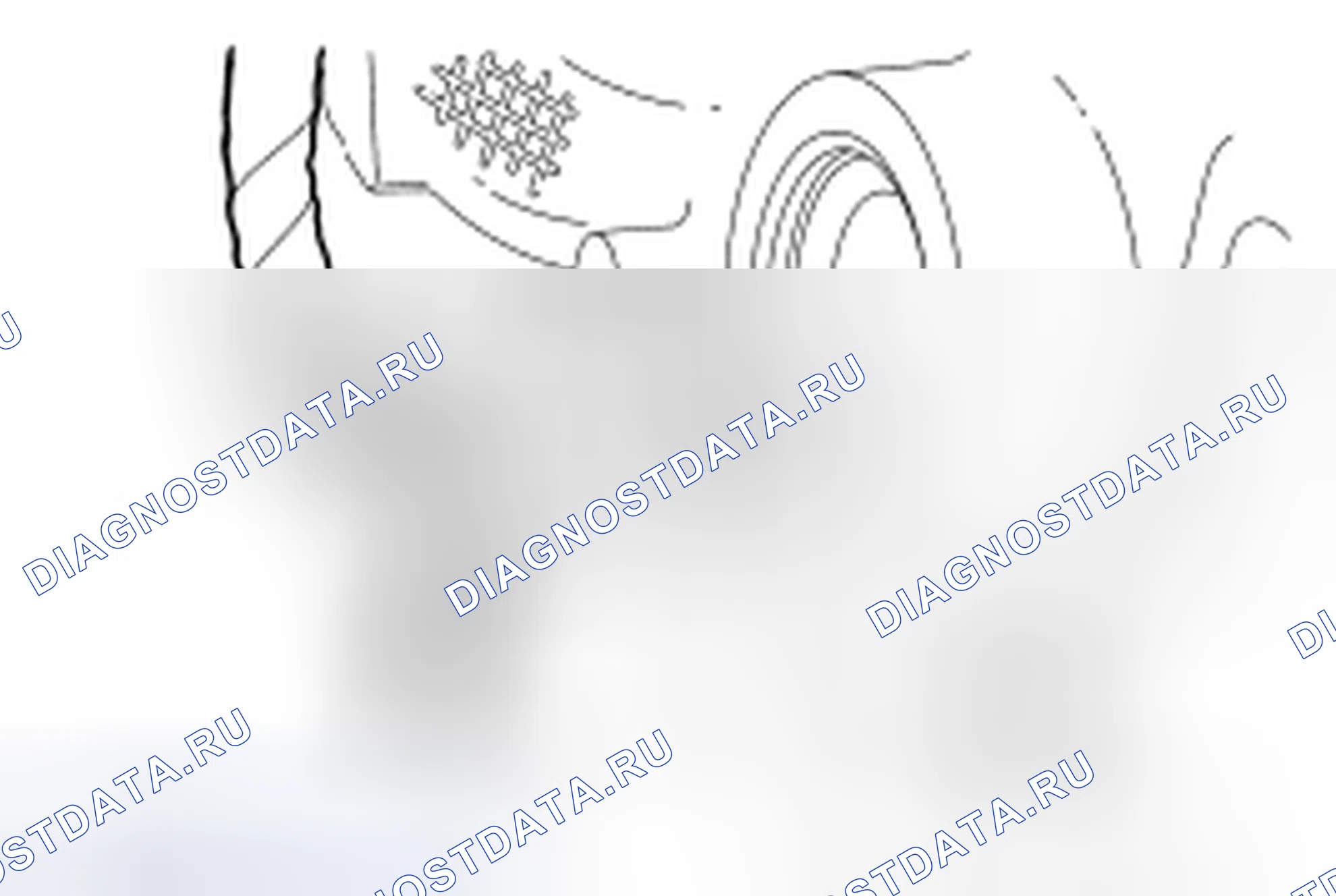 Рис. 1199. Hyundai Kona I рестайлинг
