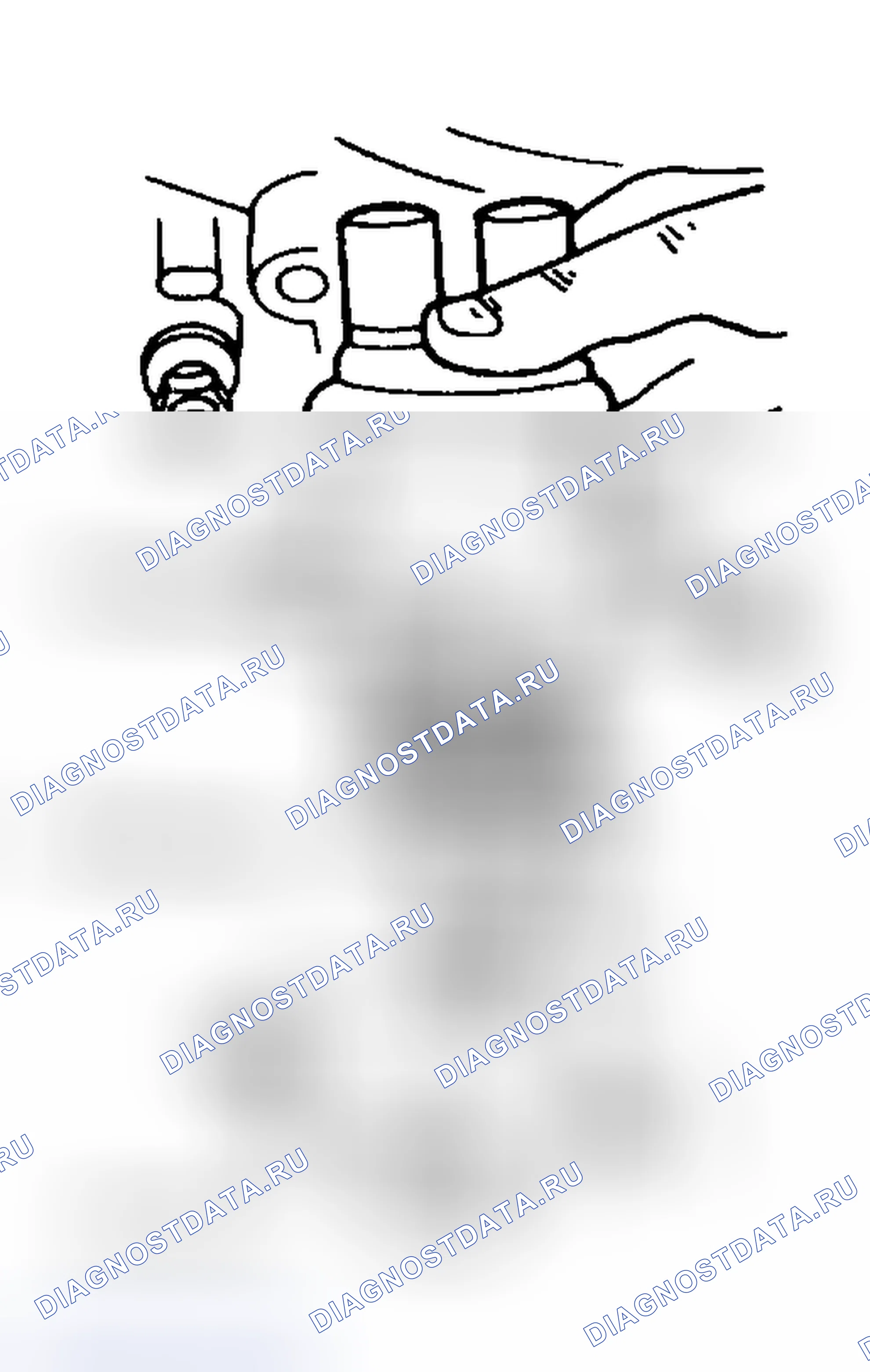 Рис. 2. Ford Cab & Chassis F350 