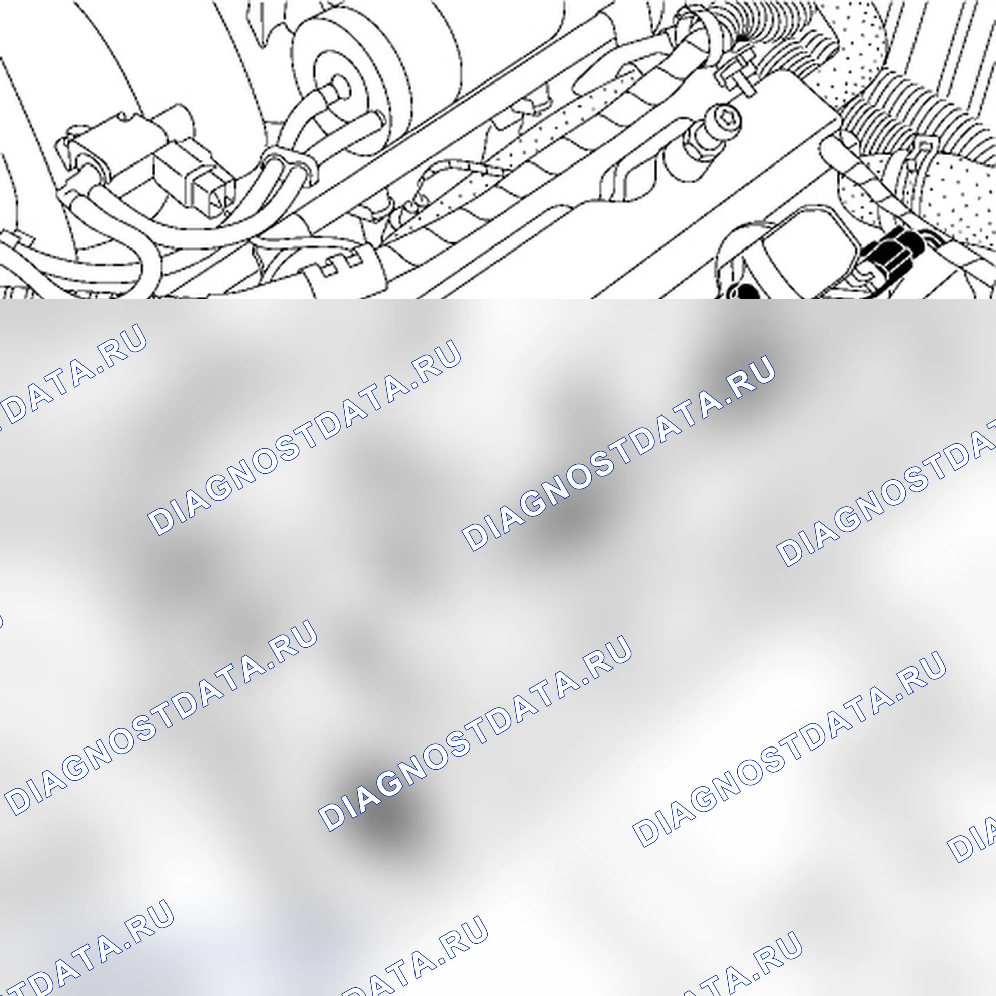 Моторное масло: слив и заправка — двигатель V4Y (3.5 V6 бензин). Renault Vel-Satis I