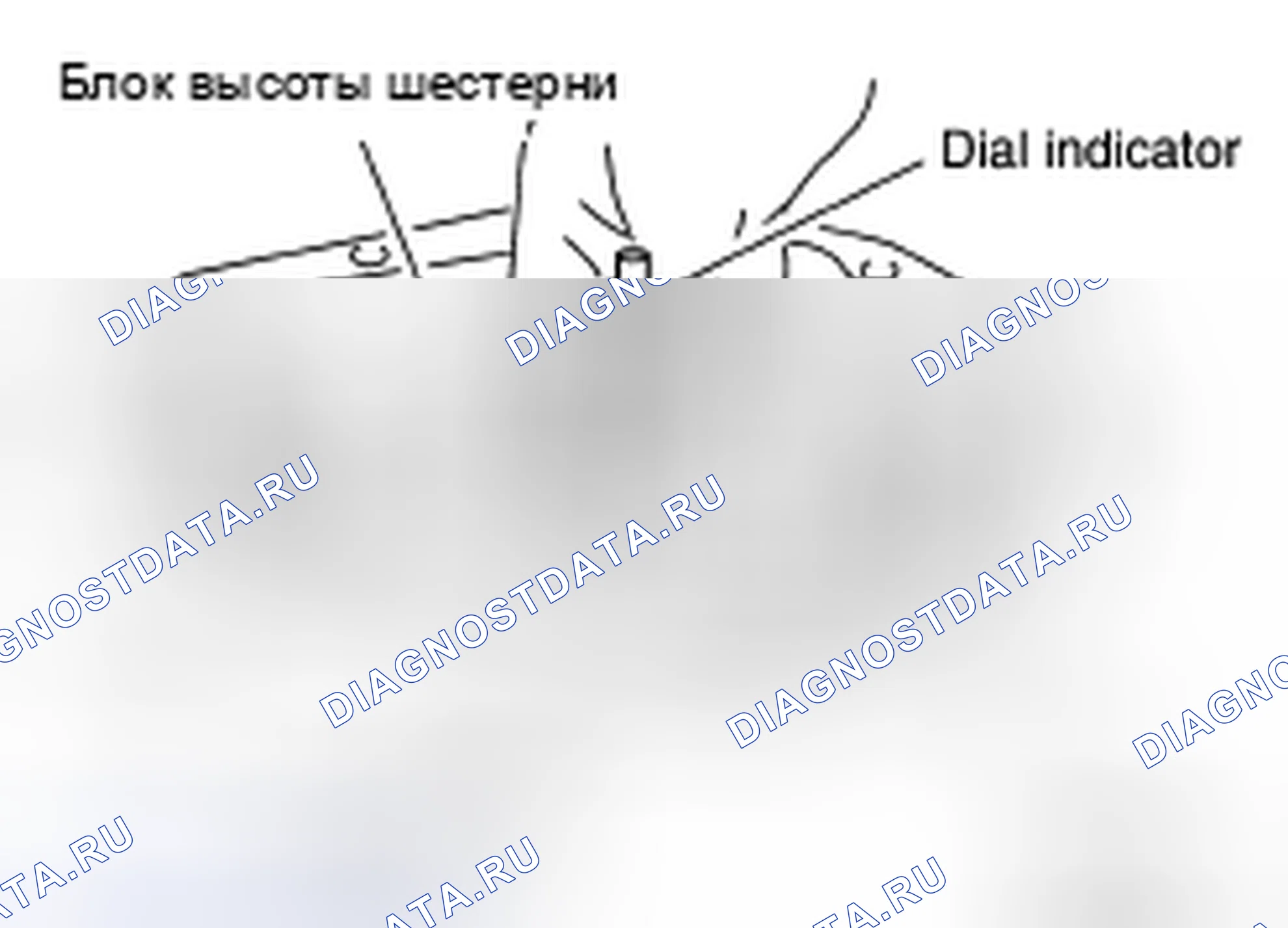 Рис. 166. Honda Torneo I