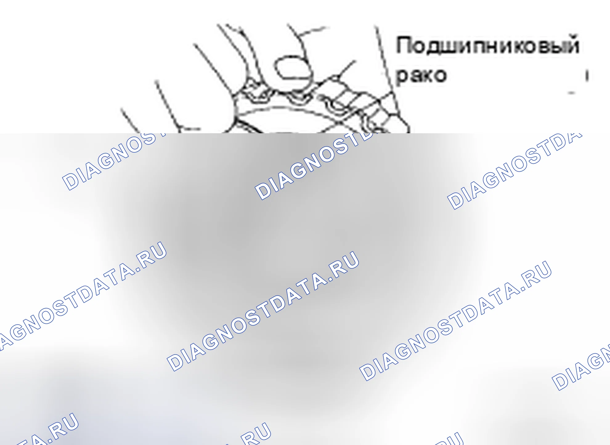Рис. 269: РАЗБОРКА. Honda N-VAN I
