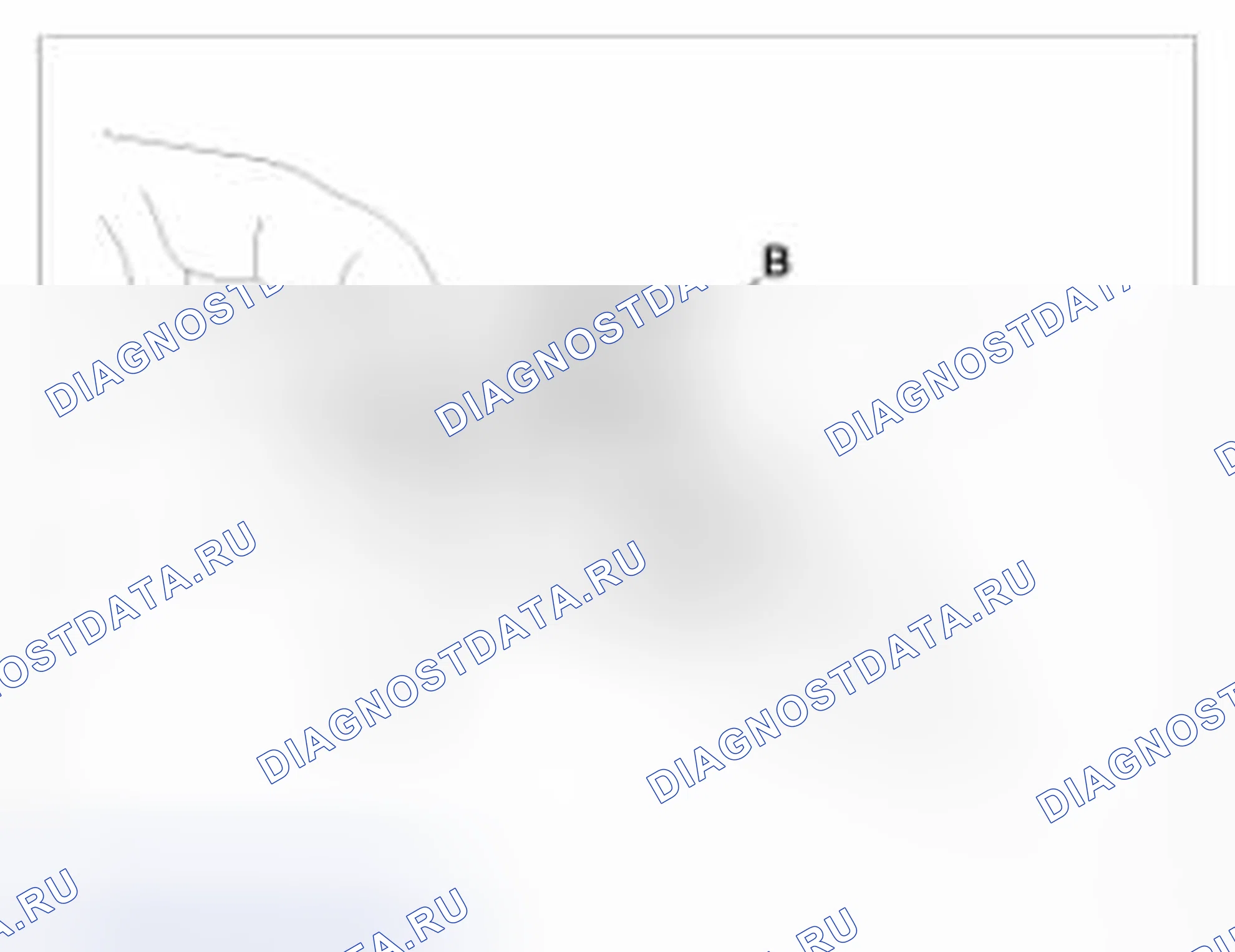 Рис. 29: Разъединение. BMW 6 серия F06/F13/F12