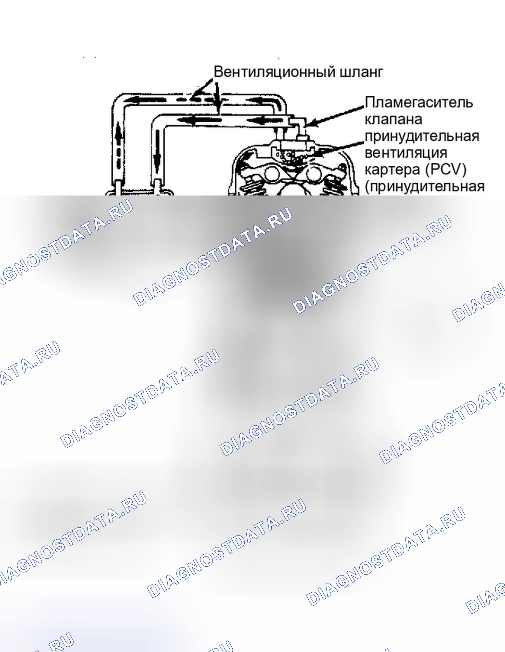 Рис. 4: Система вентиляции картера (Celica, Pickup и 4-Runner - модели с впрыском топлива). Toyota Camry V10
