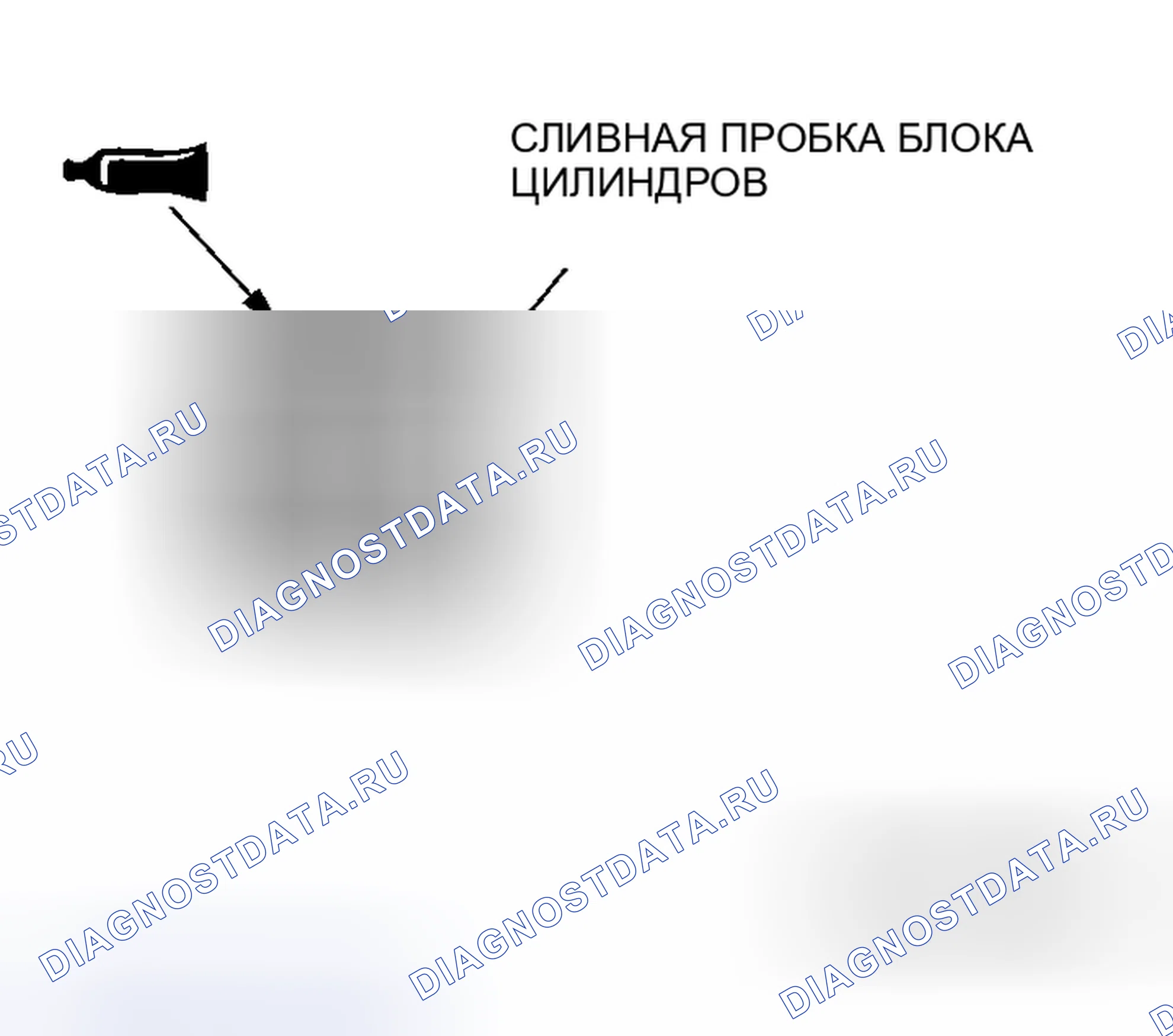 Рис. 53. Honda Envix I
