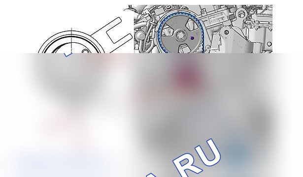 Снятие - установка: ремень ГРМ — b1ek20ld. Peugeot 607 I рестайлинг