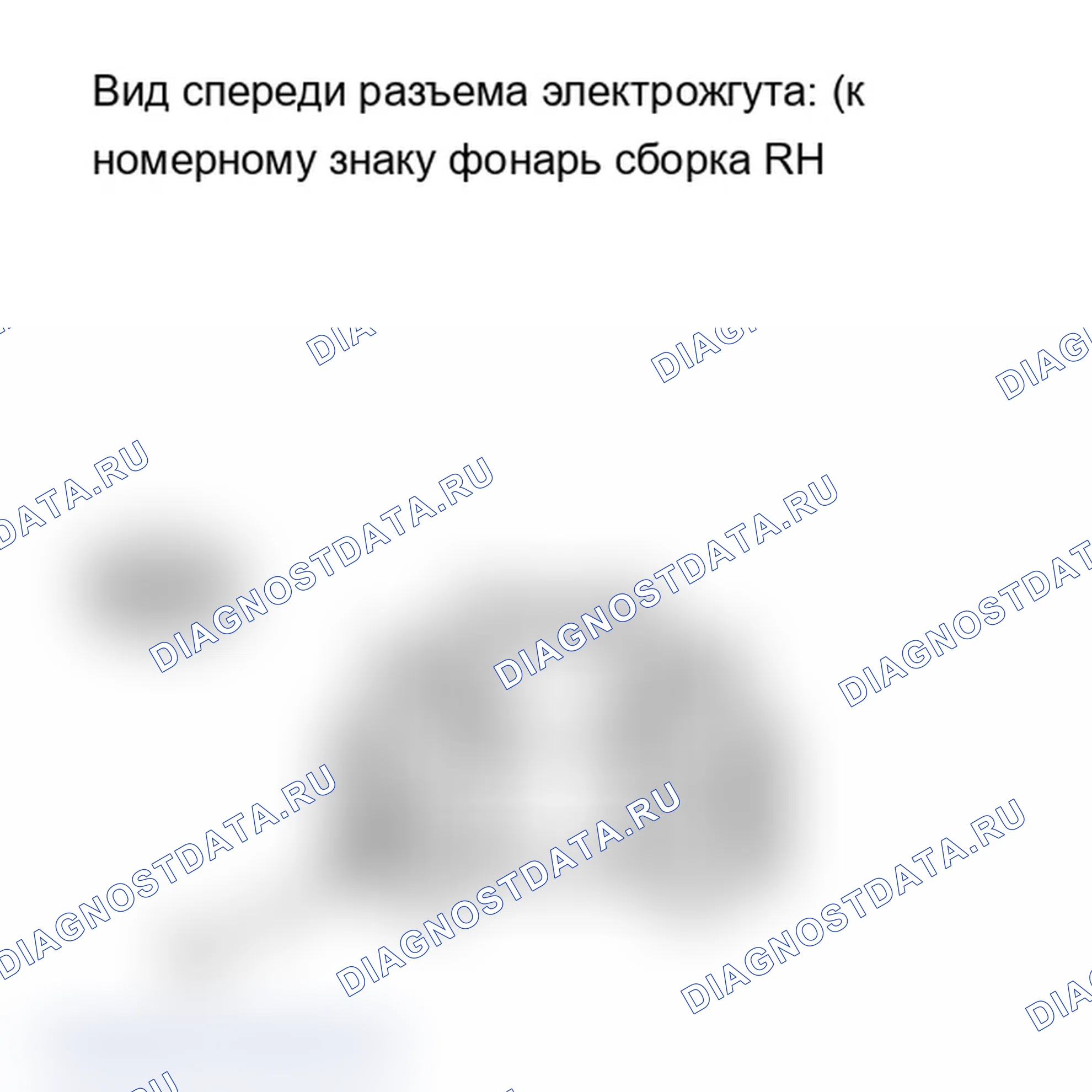 Рис. 231. Lexus IS F I