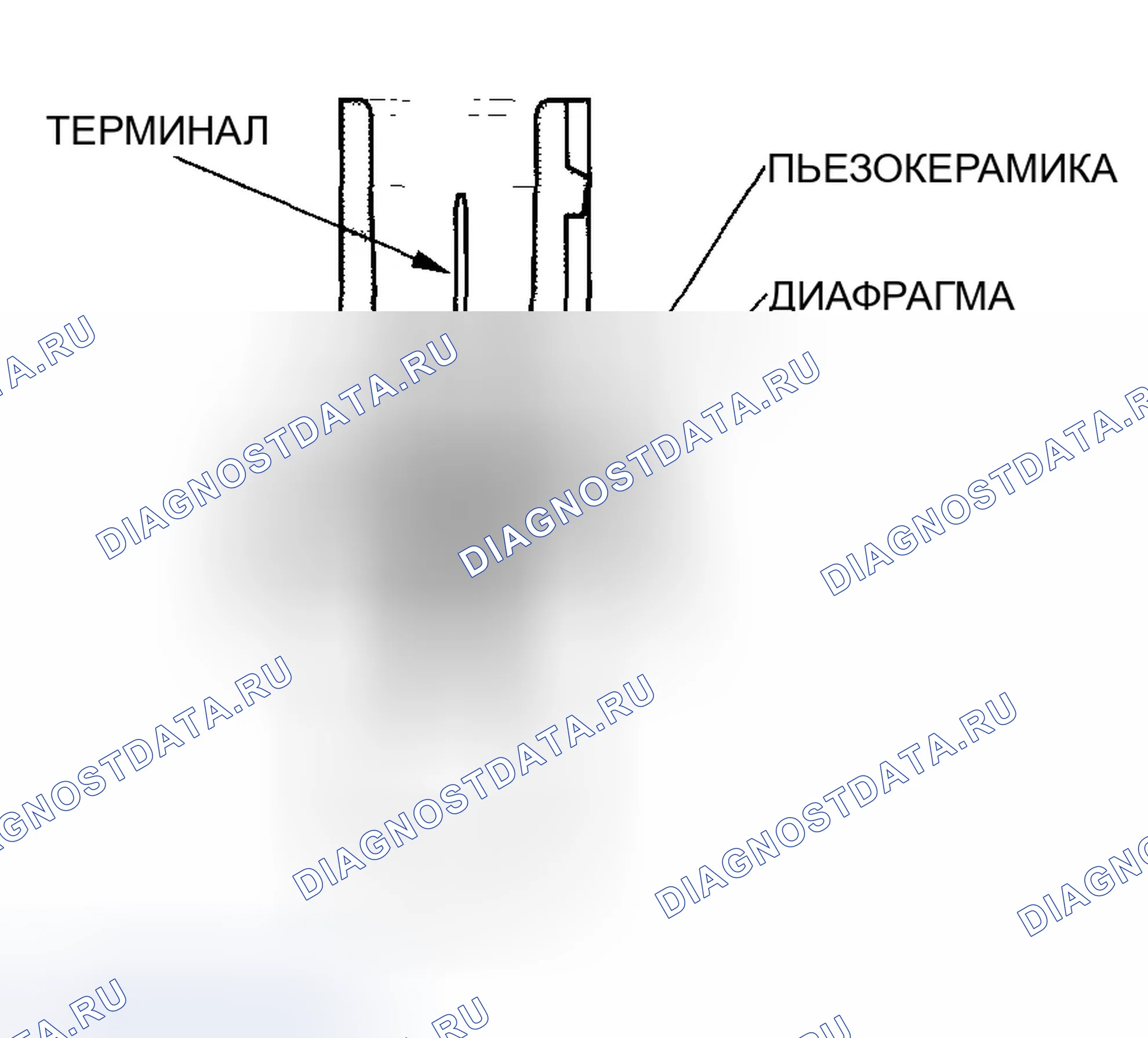 Рис. 18: Датчик детонации. Honda S2000 AP1