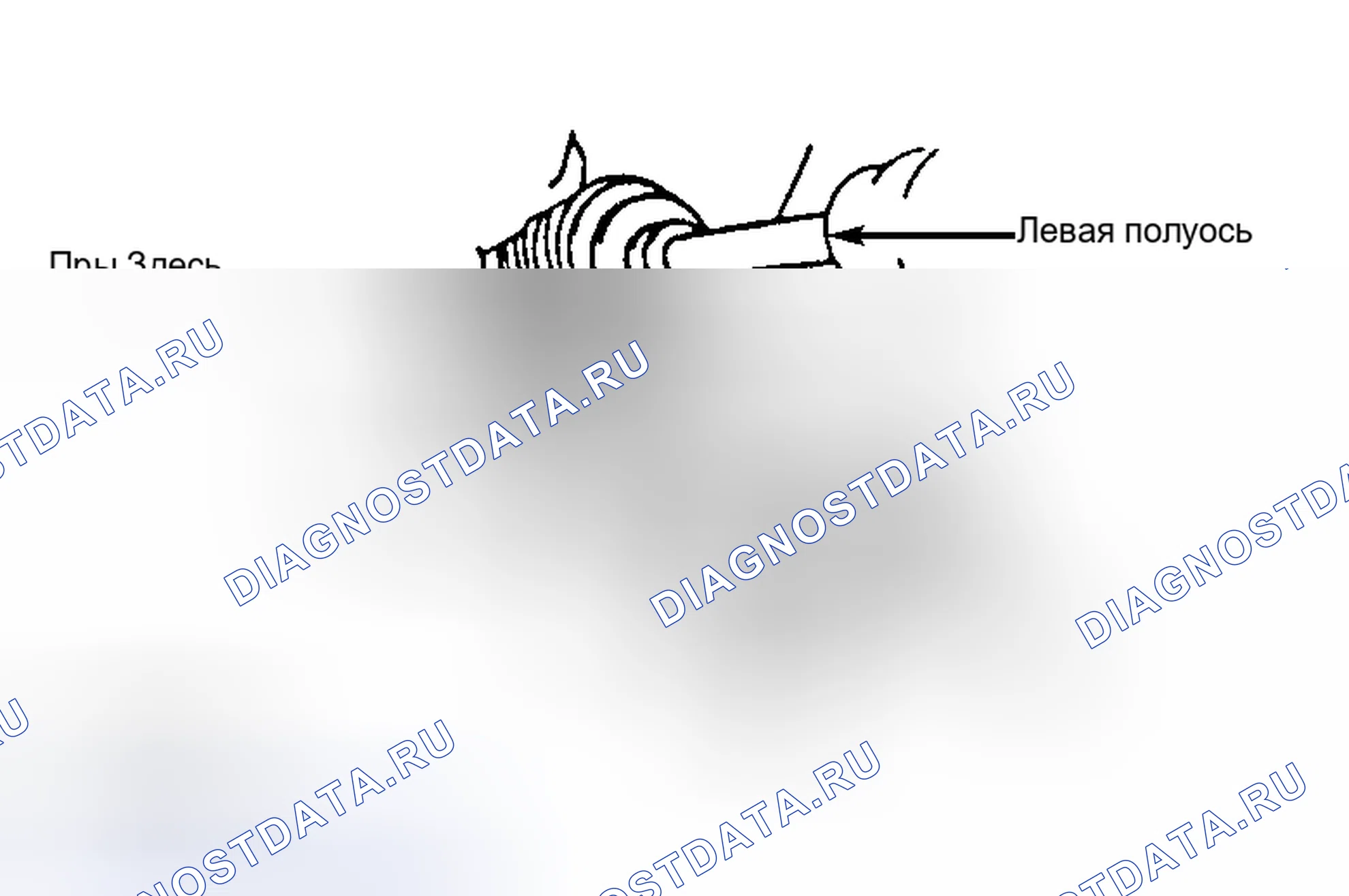 Рис. 65. Toyota MR2 W20