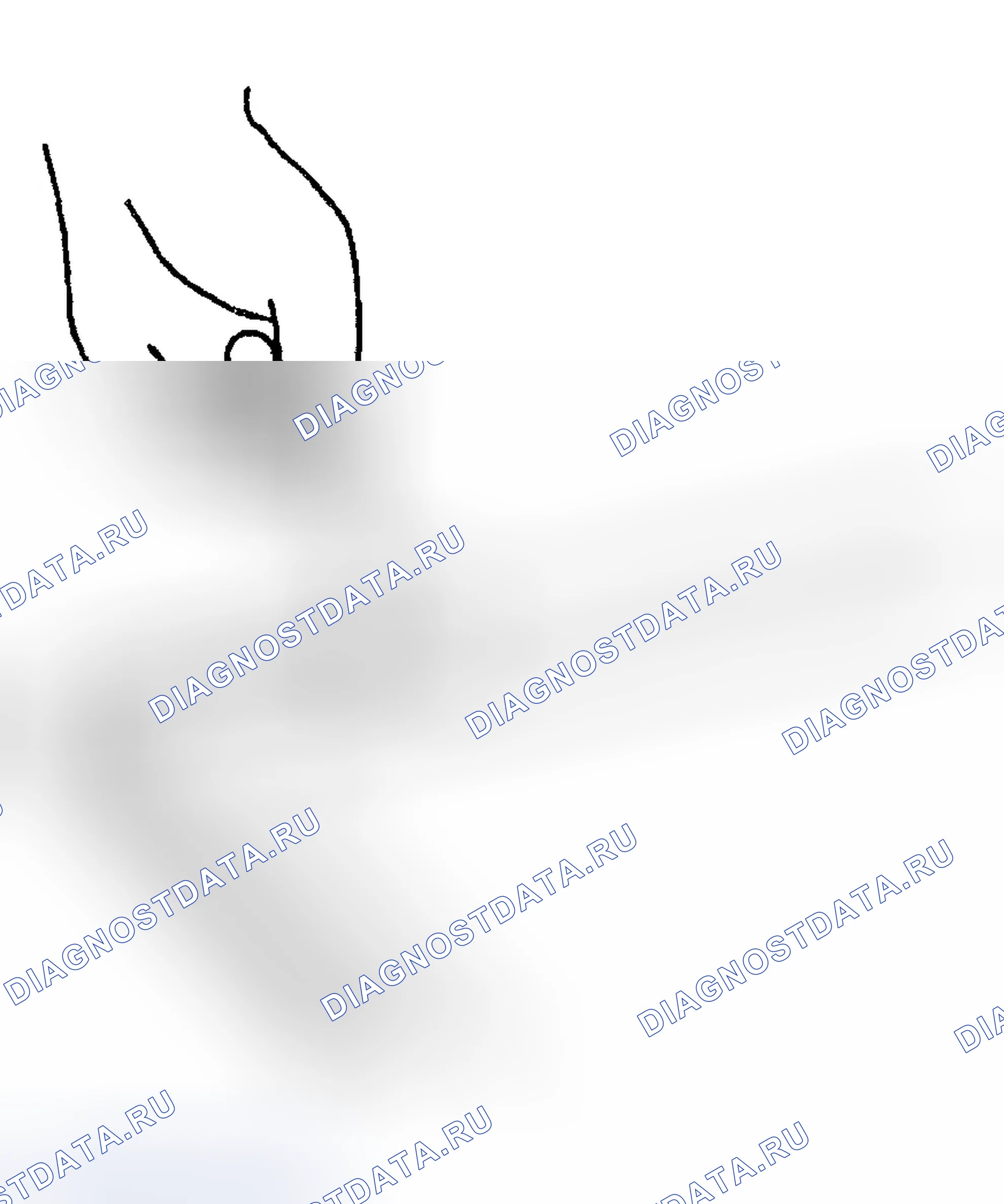 Рис. 94. Chevrolet TrailBlazer I