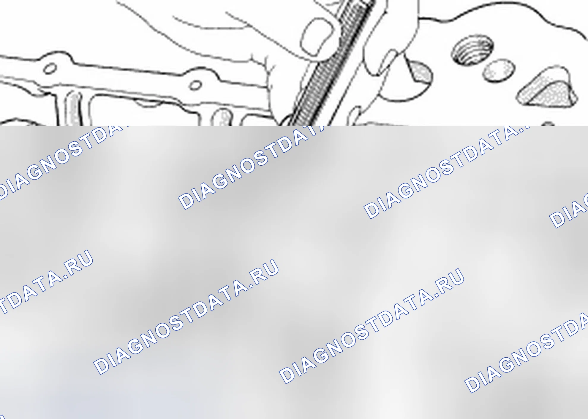 Рис. 221. Dodge Avenger II