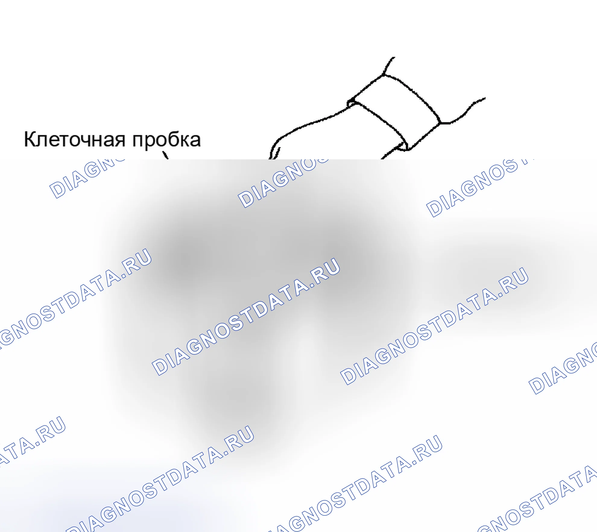 Рис. 45. Nissan Altima L31 рестайлинг