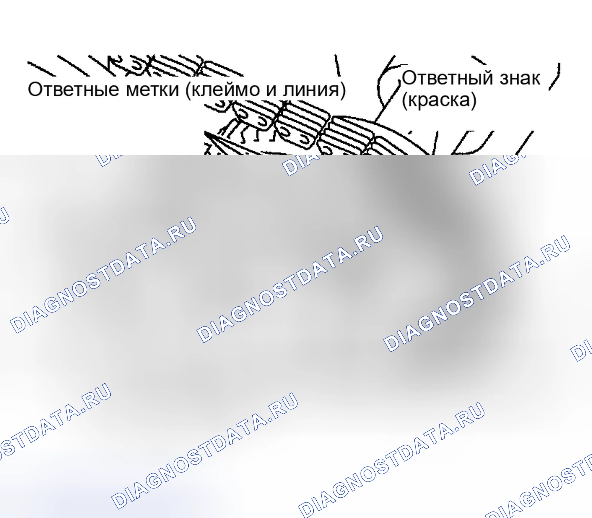 Рис. 337. Nissan Sentra B15