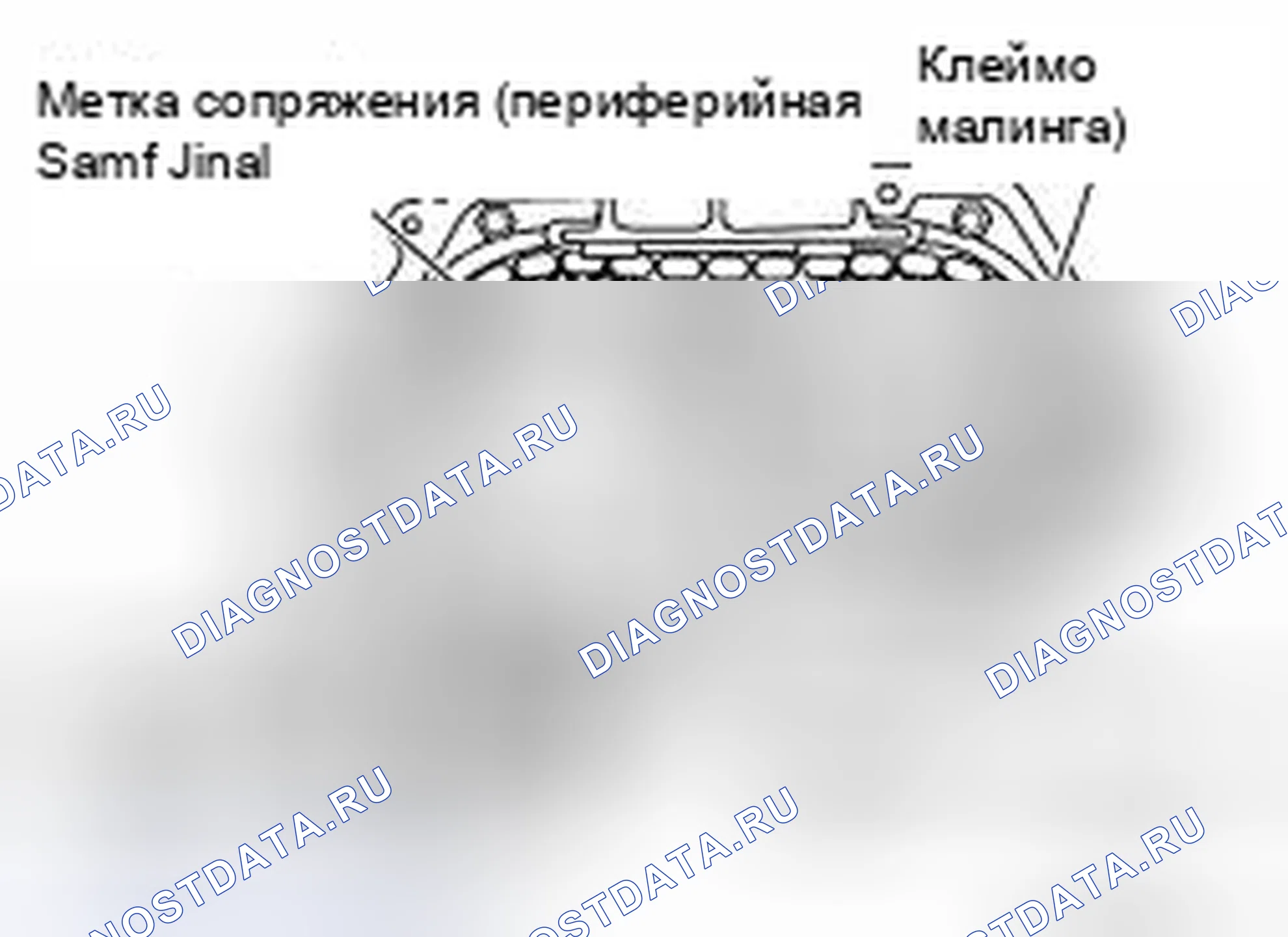 Рис. 114. Honda Saber I
