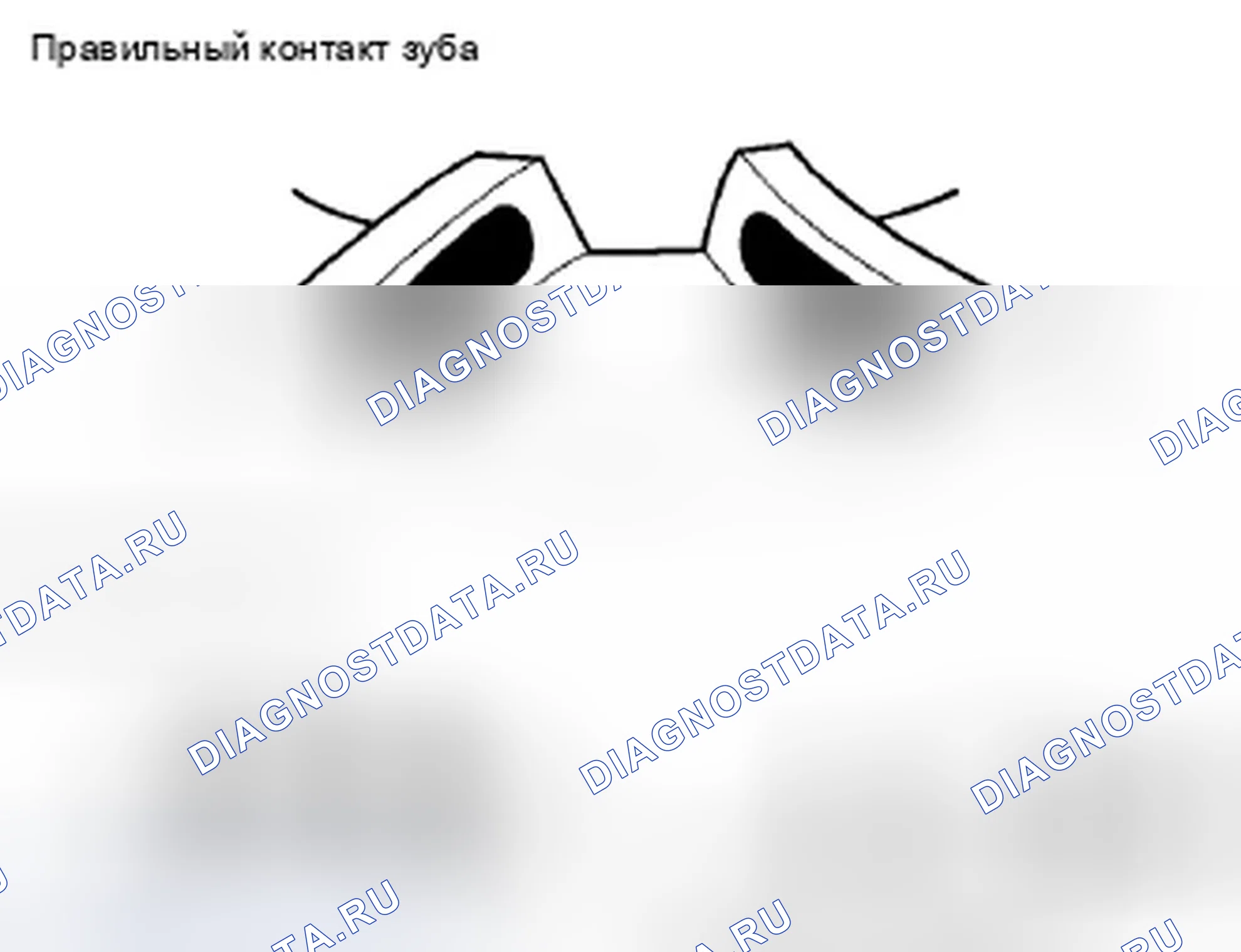 Рис. 48. Honda S2000 AP2 рестайлинг
