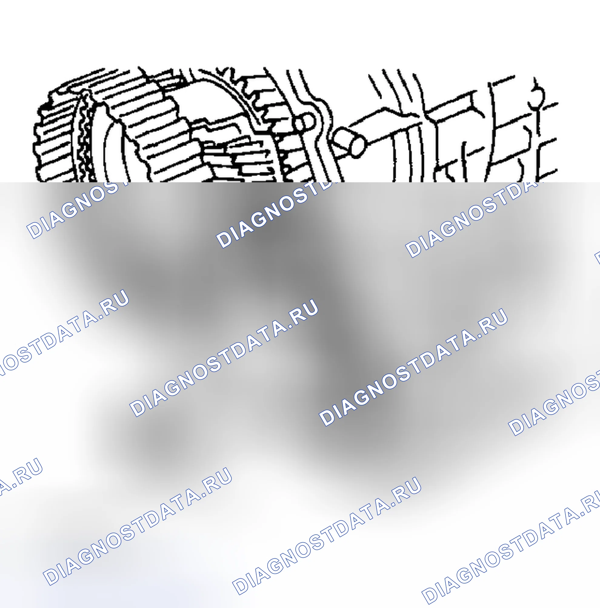 Рис. 813: С Vtd. Honda X-NV I