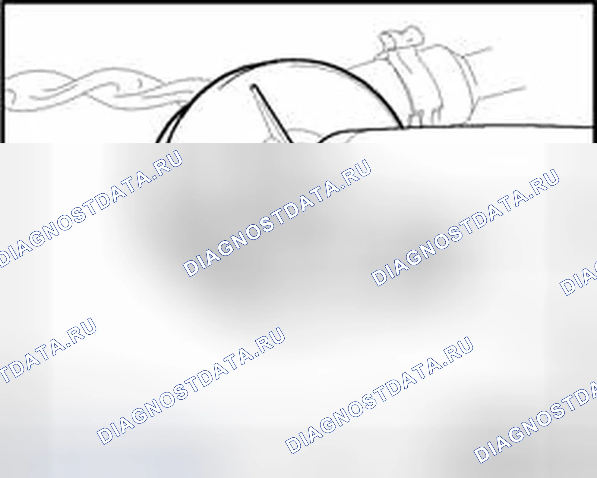 Рис. 238. Audi TT 8N