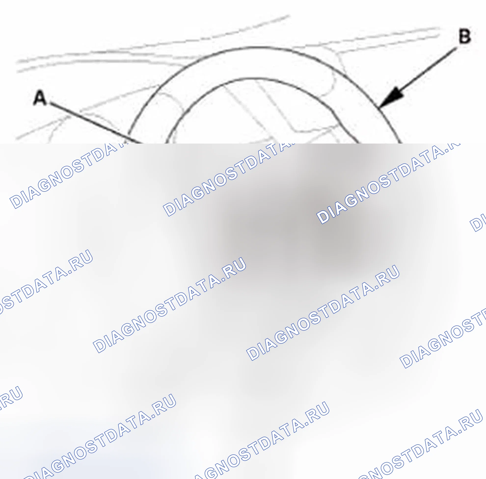 Рис. 973. Honda Civic IX