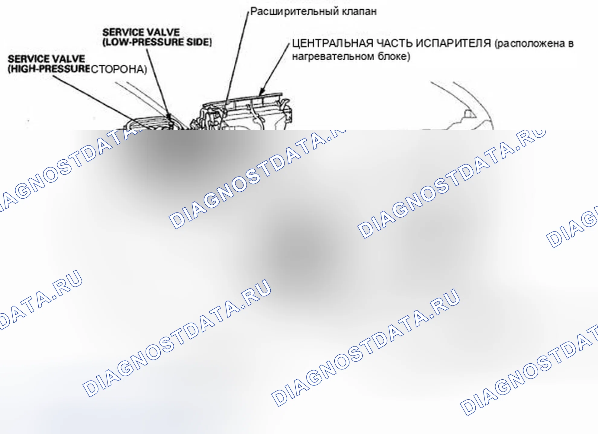 Рис. 3. Honda Element YH2 рестайлинг