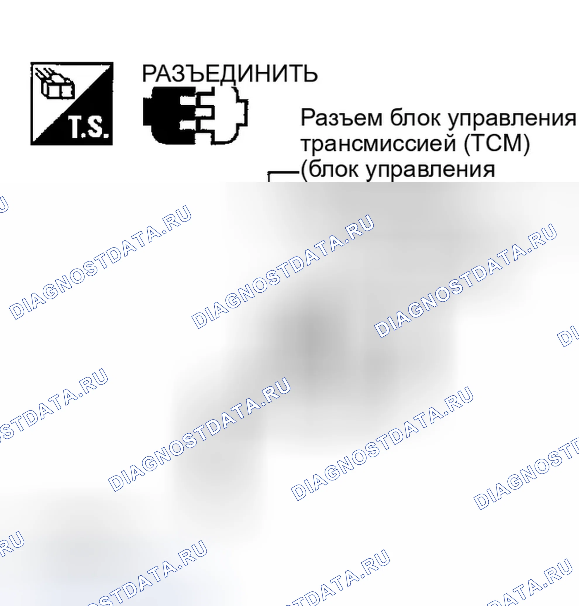 Рис. 528: 4. Проверка цепи массы блок управления трансмиссией (TCM) (блок управления трансмиссией). Infiniti G35 III
