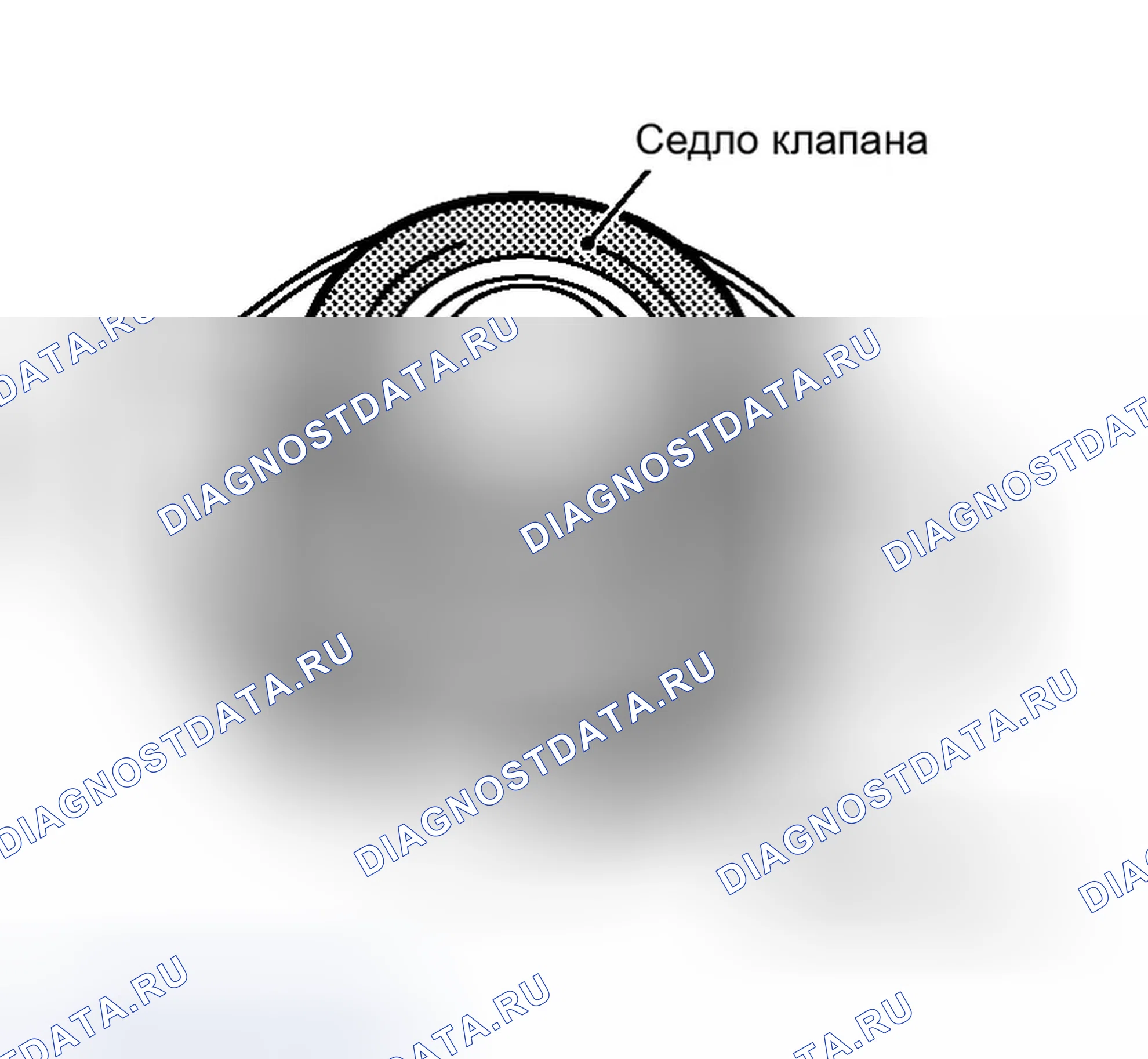 Рис. 214: Проверка крышки радиатора. Infiniti G35 III