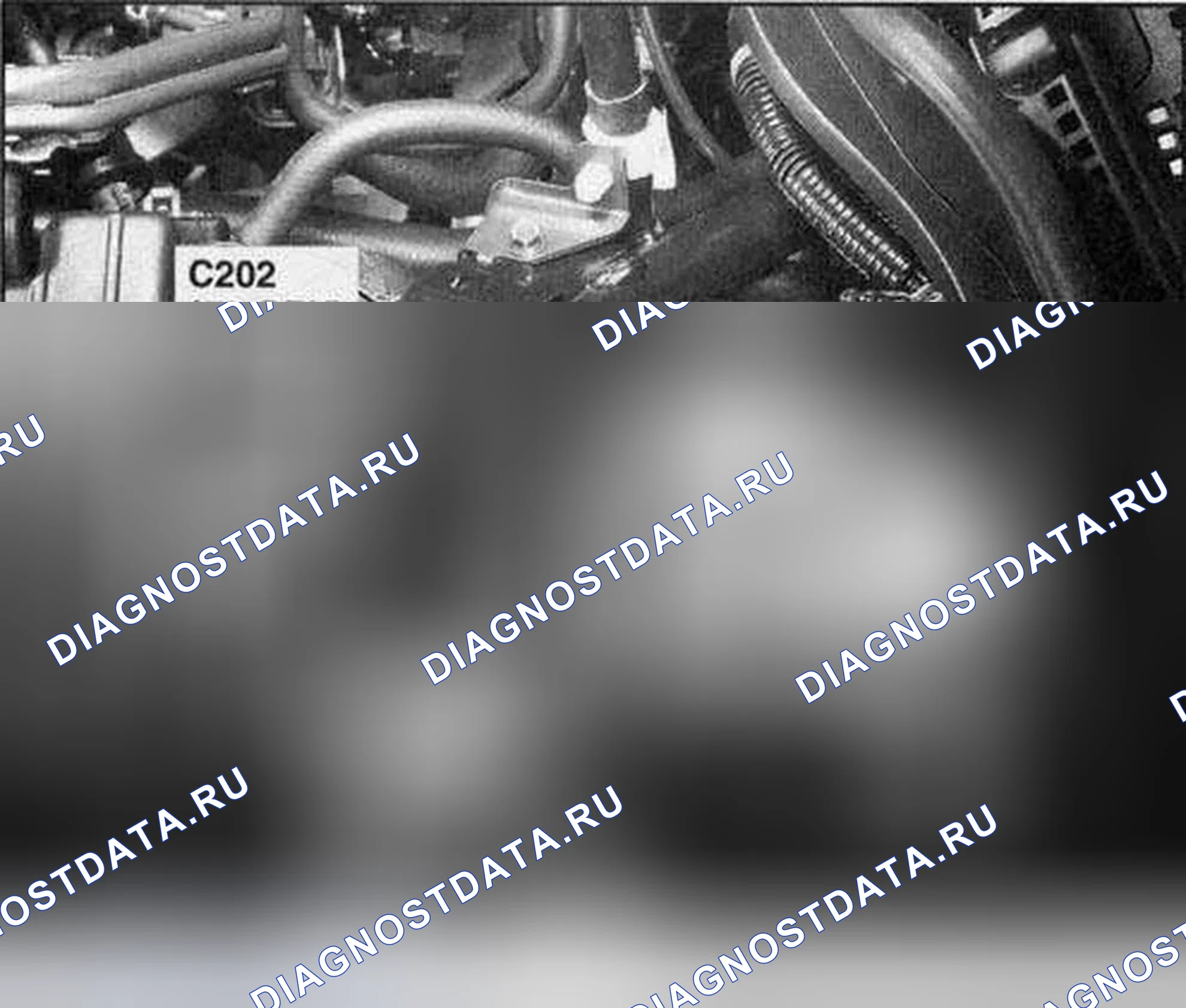 Рис. 233. Honda Accord VII рестайлинг
