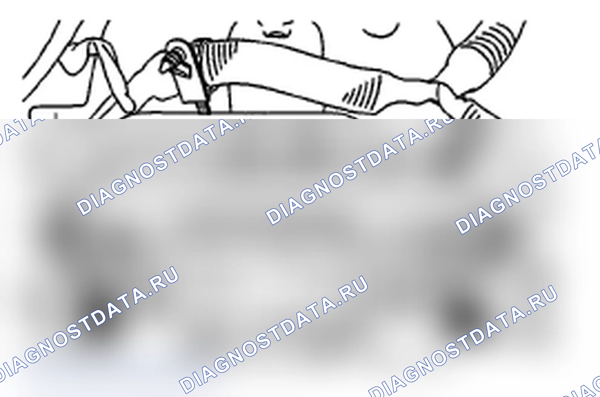 Рис. 131. Subaru Impreza WRX STI GR