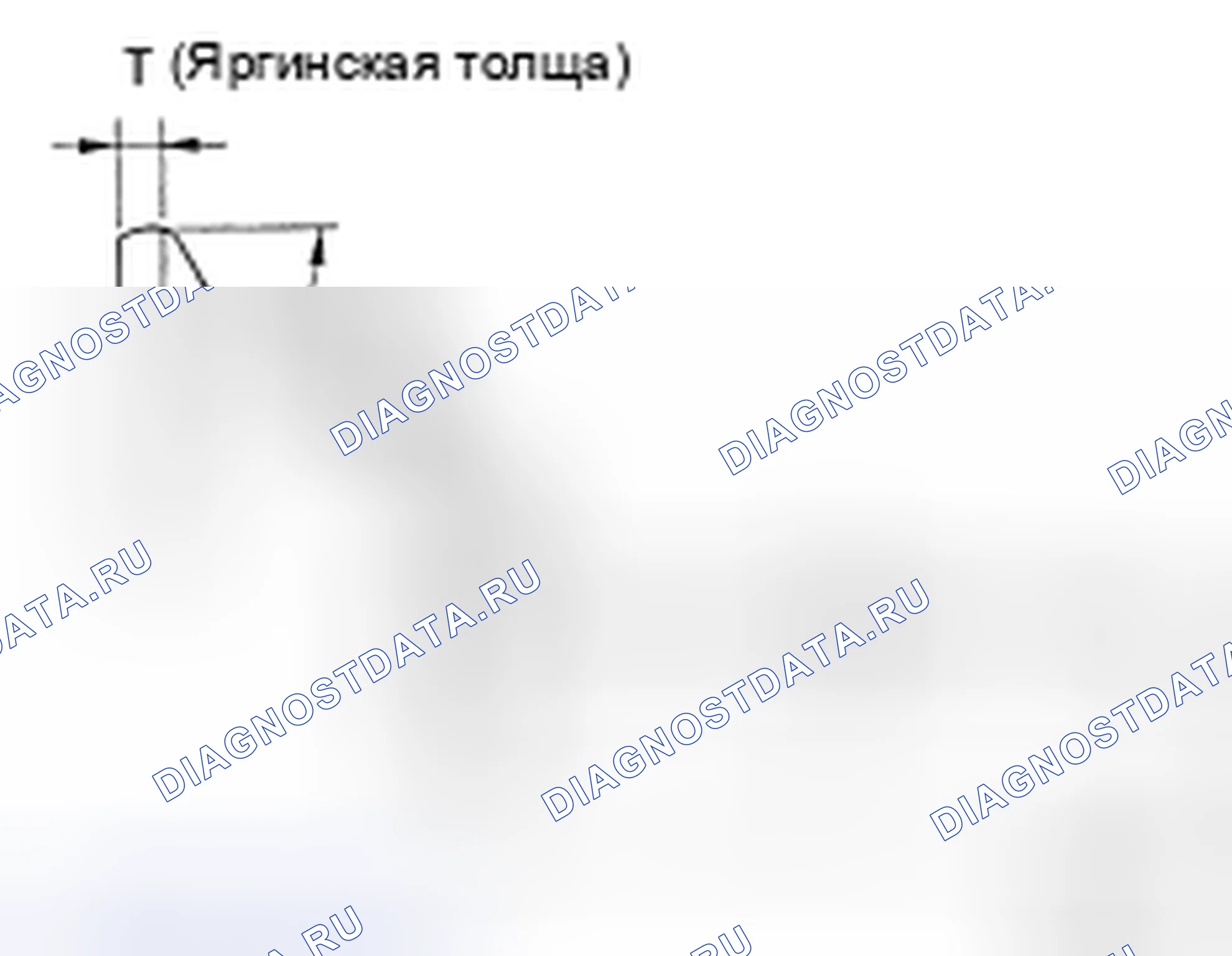 Рис. 246: РАЗМЕРЫ КЛАПАНА. Honda Passport I