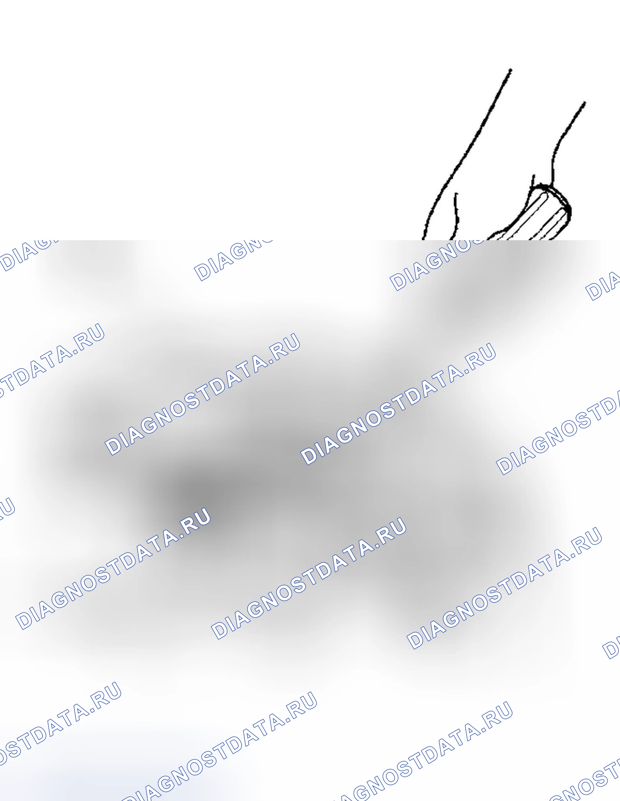 Рис. 135. Honda Element YH2