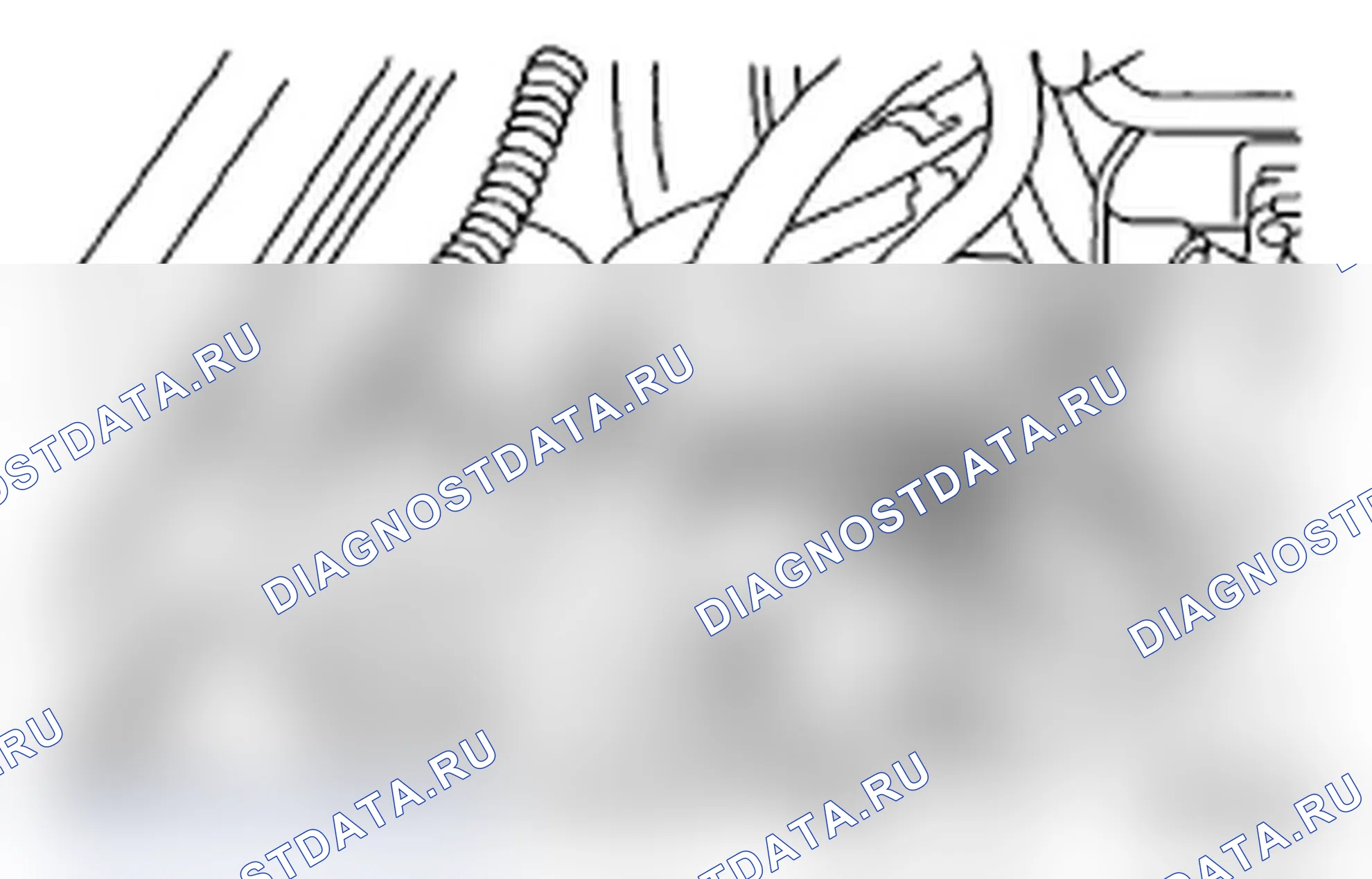 Рис. 78. Subaru Impreza WRX STI GD рестайлинг 2