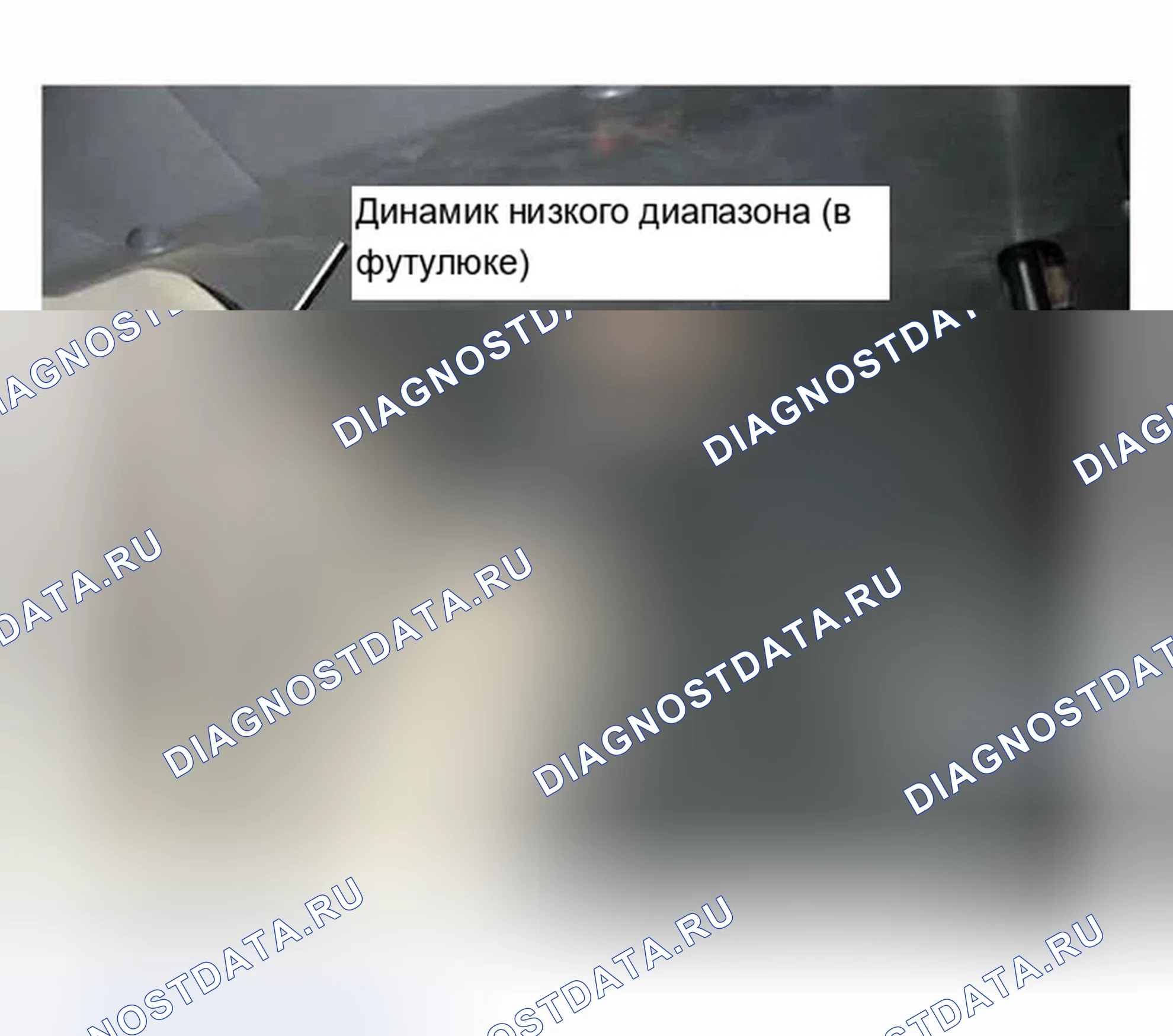 Рис. 17: Динамики низкого диапазона (Woofers). BMW Z4 E85/E86