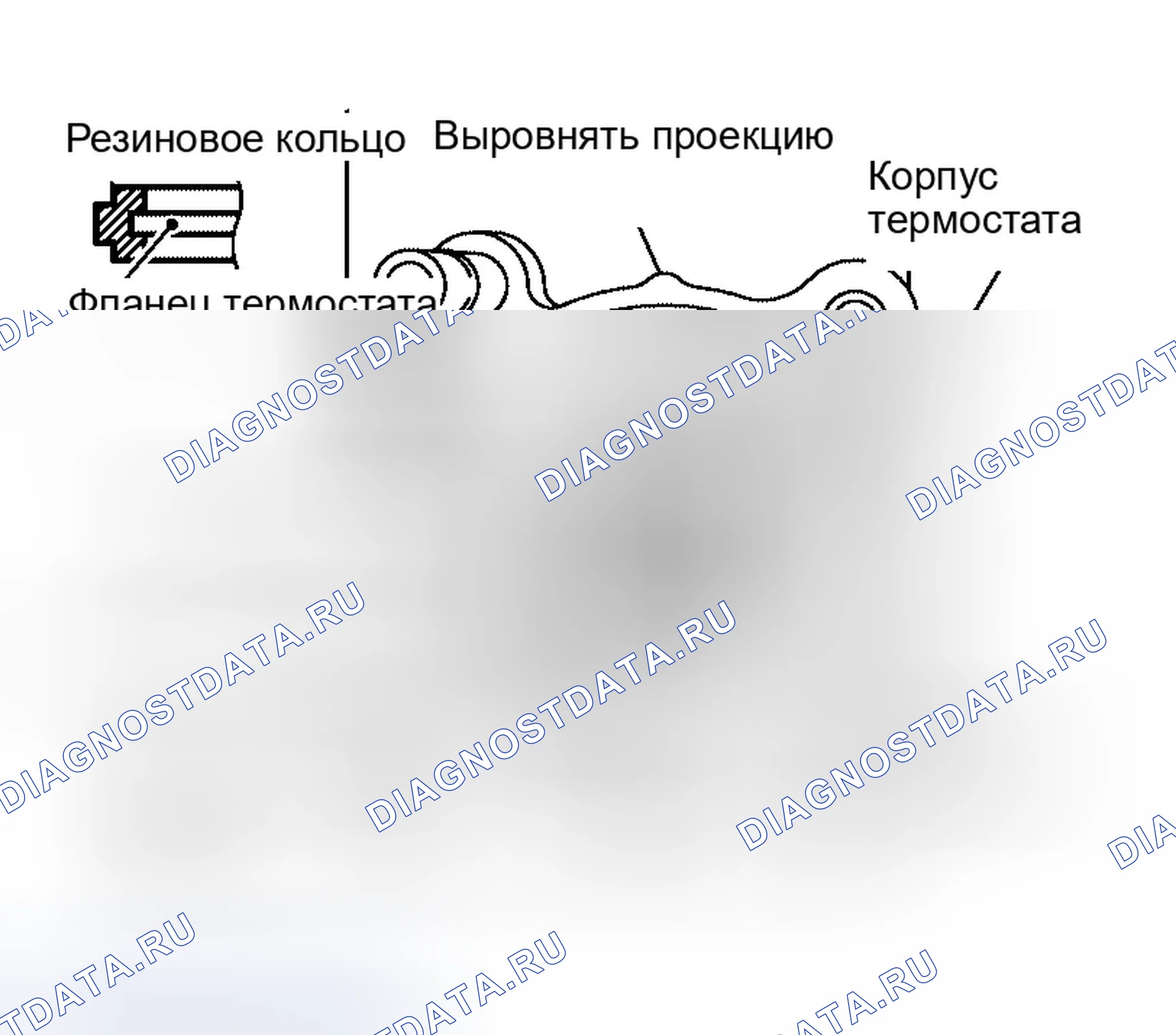Рис. 11: Установка термостата. Infiniti QX56 I