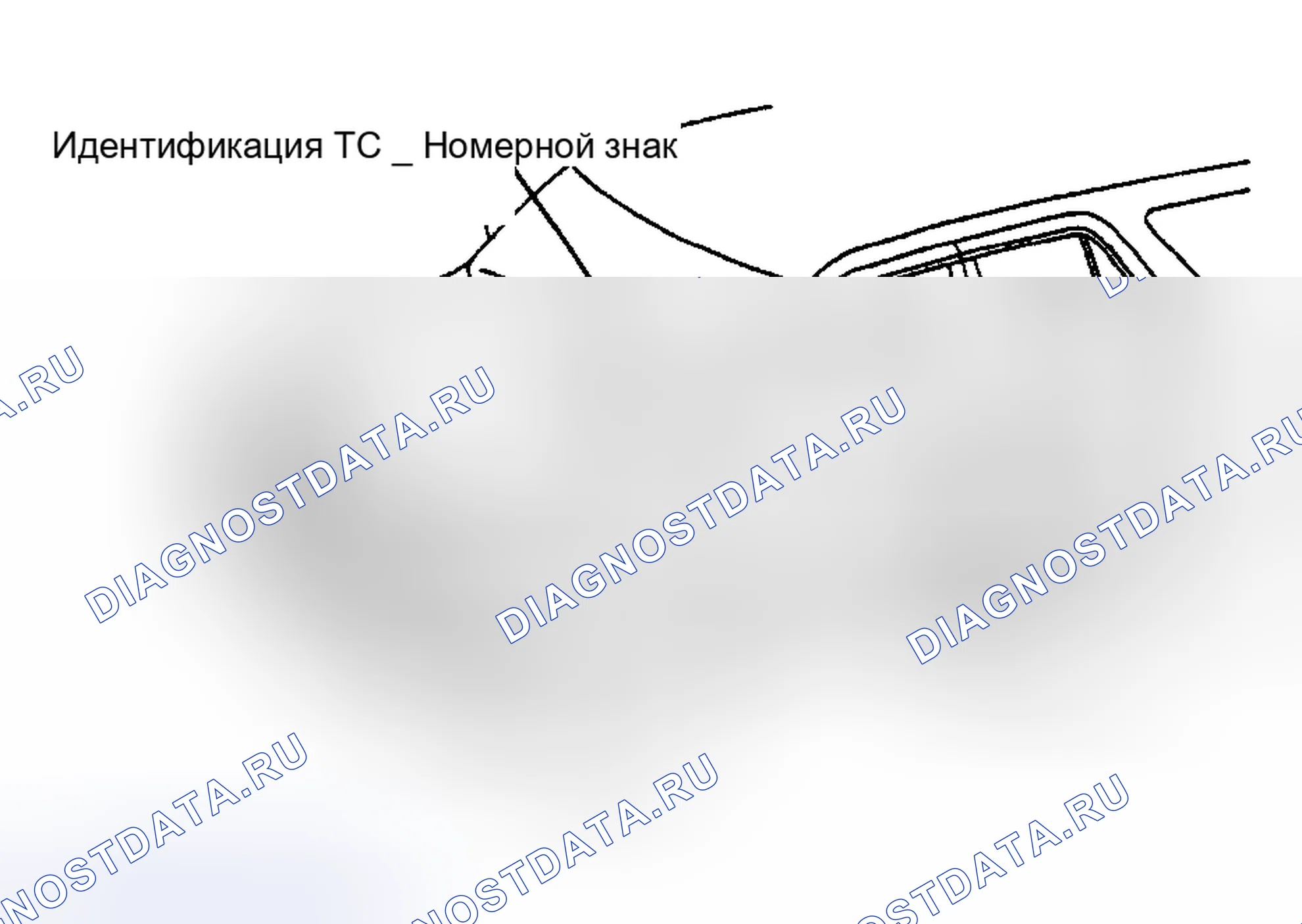 Рис. 87: ИДЕНТИФИКАЦИЯ. Toyota Sequoia I
