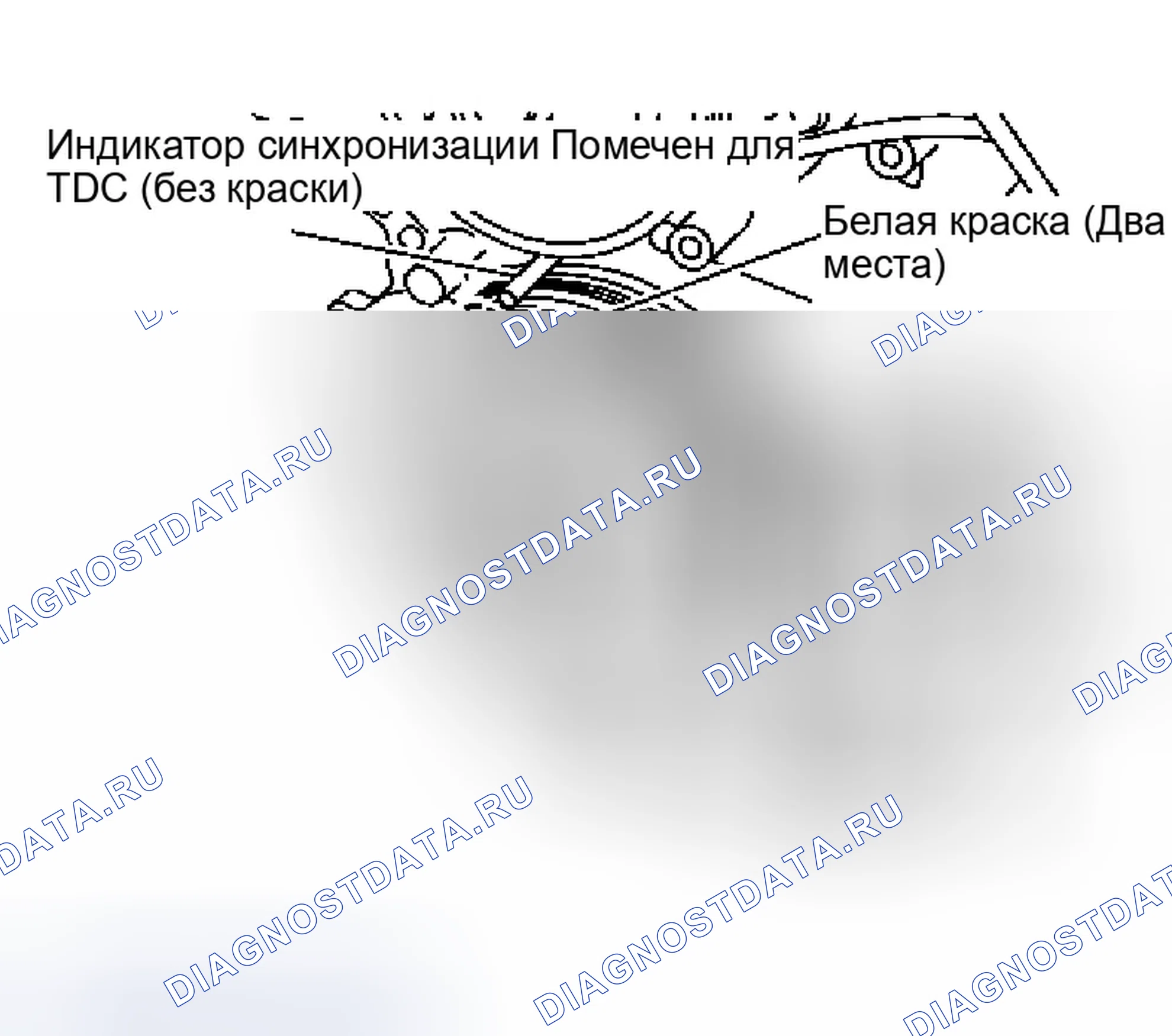 Рис. 208. Infiniti Q45 III