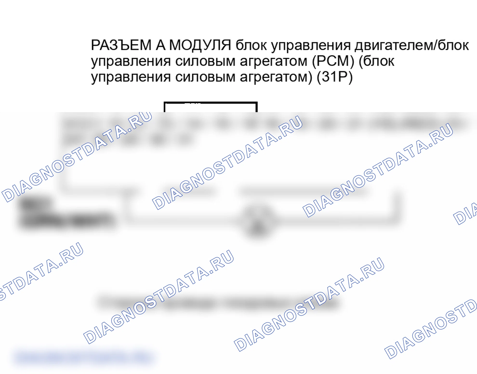 Рис. 54. Honda Element YH2