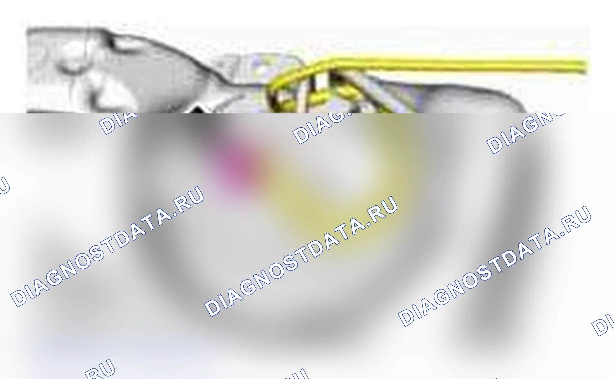 Рис. 34. Ford Focus III