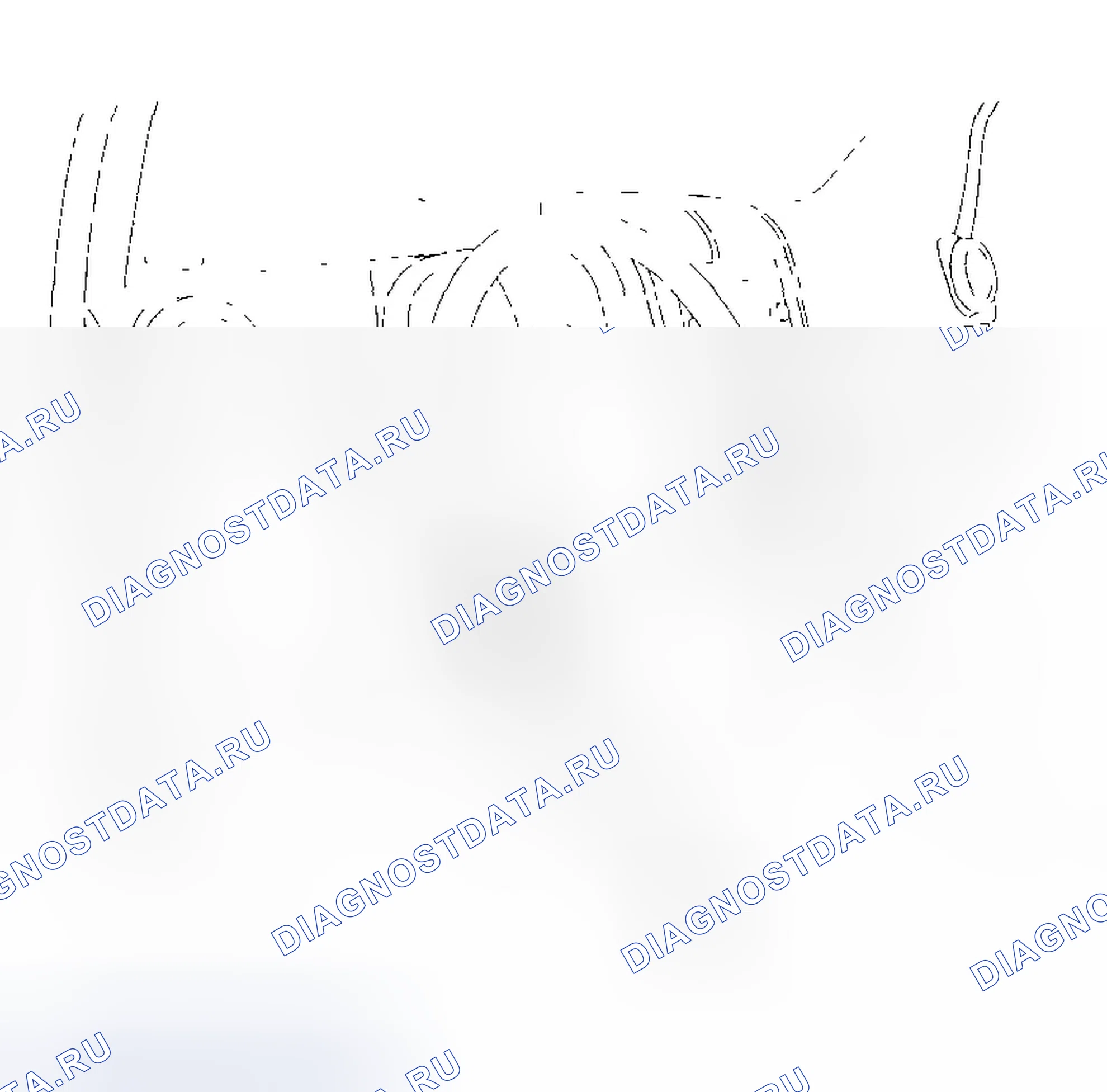 Рис. 436. Honda Element YH2