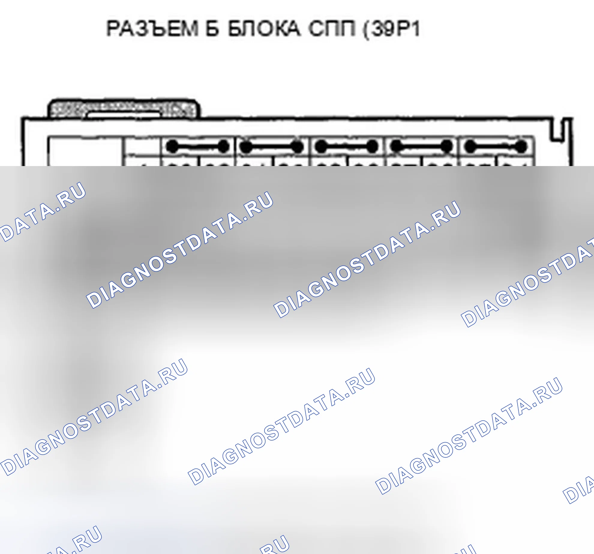 Рис. 186. Honda Crosstour I