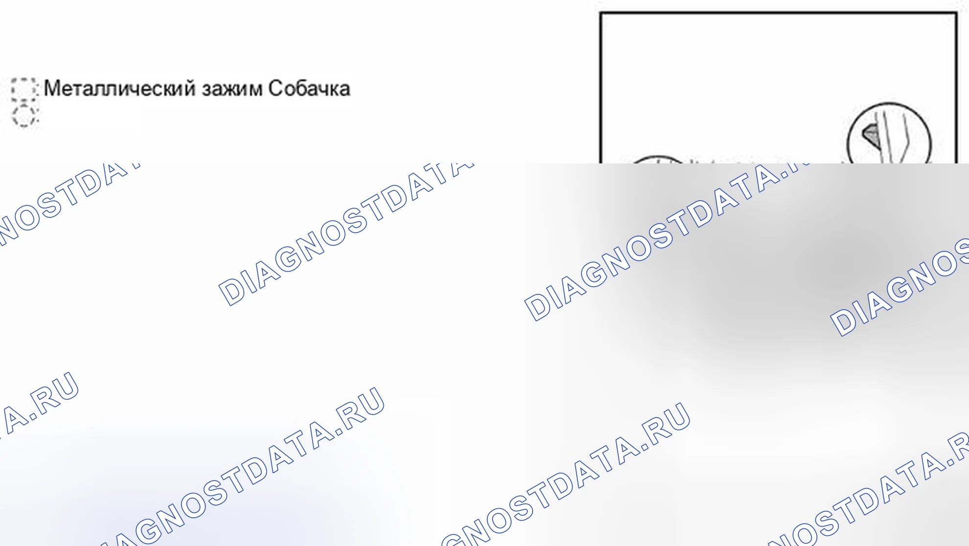 Рис. 81. Audi RS6 C8