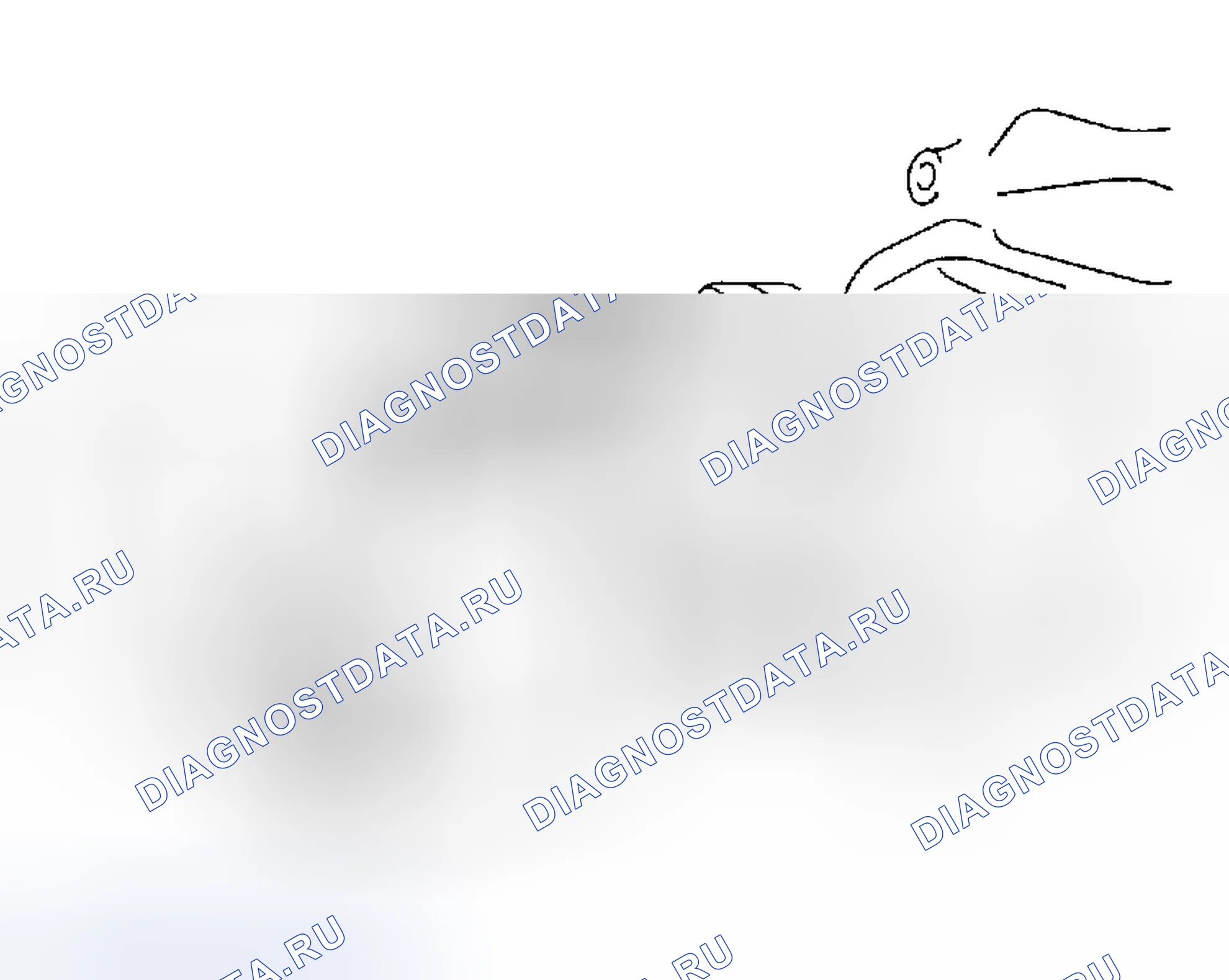 Рис. 14. Honda Accord VIII рестайлинг