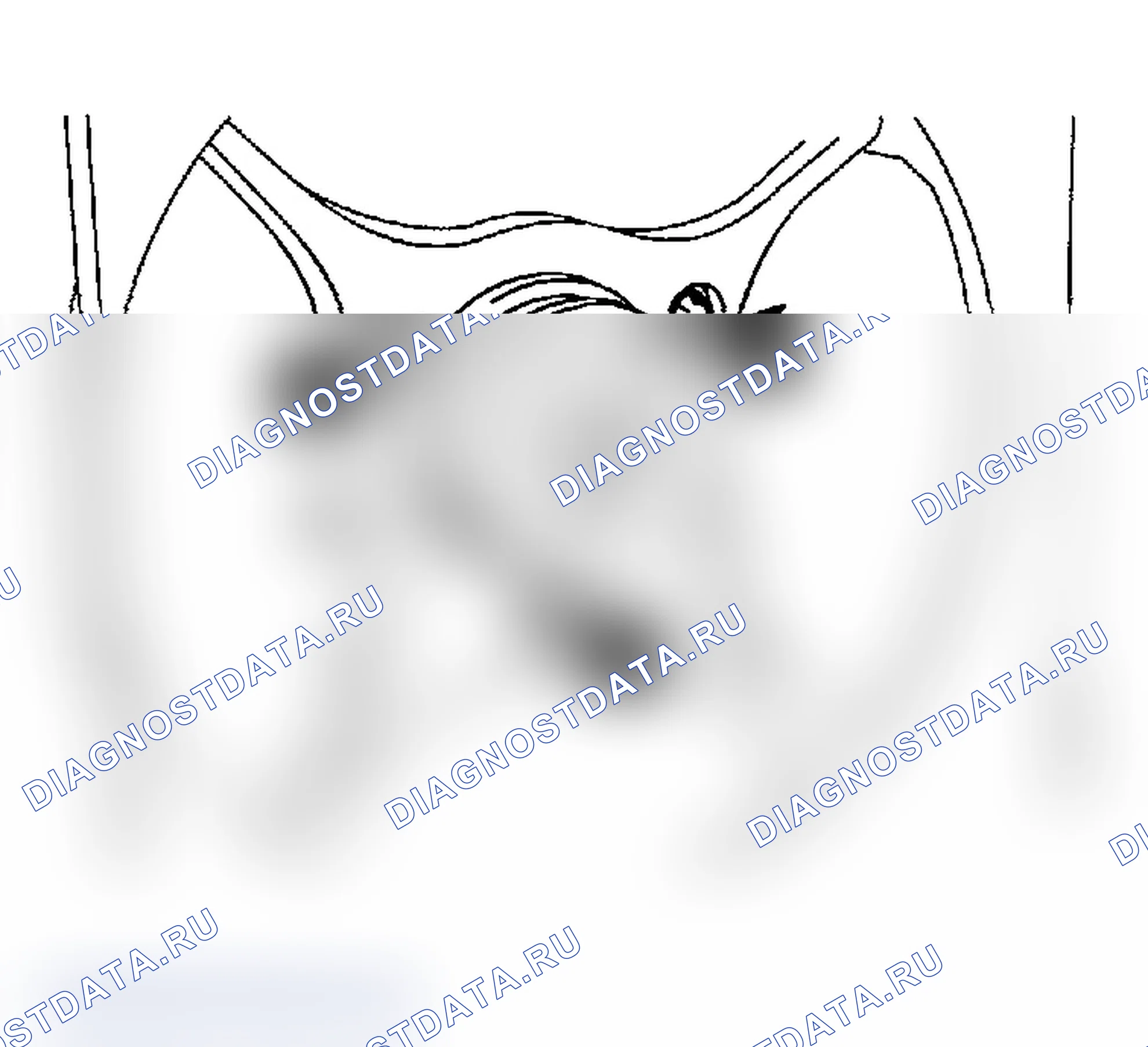 Рис. 99. Subaru Impreza WRX GD/GG рестайлинг
