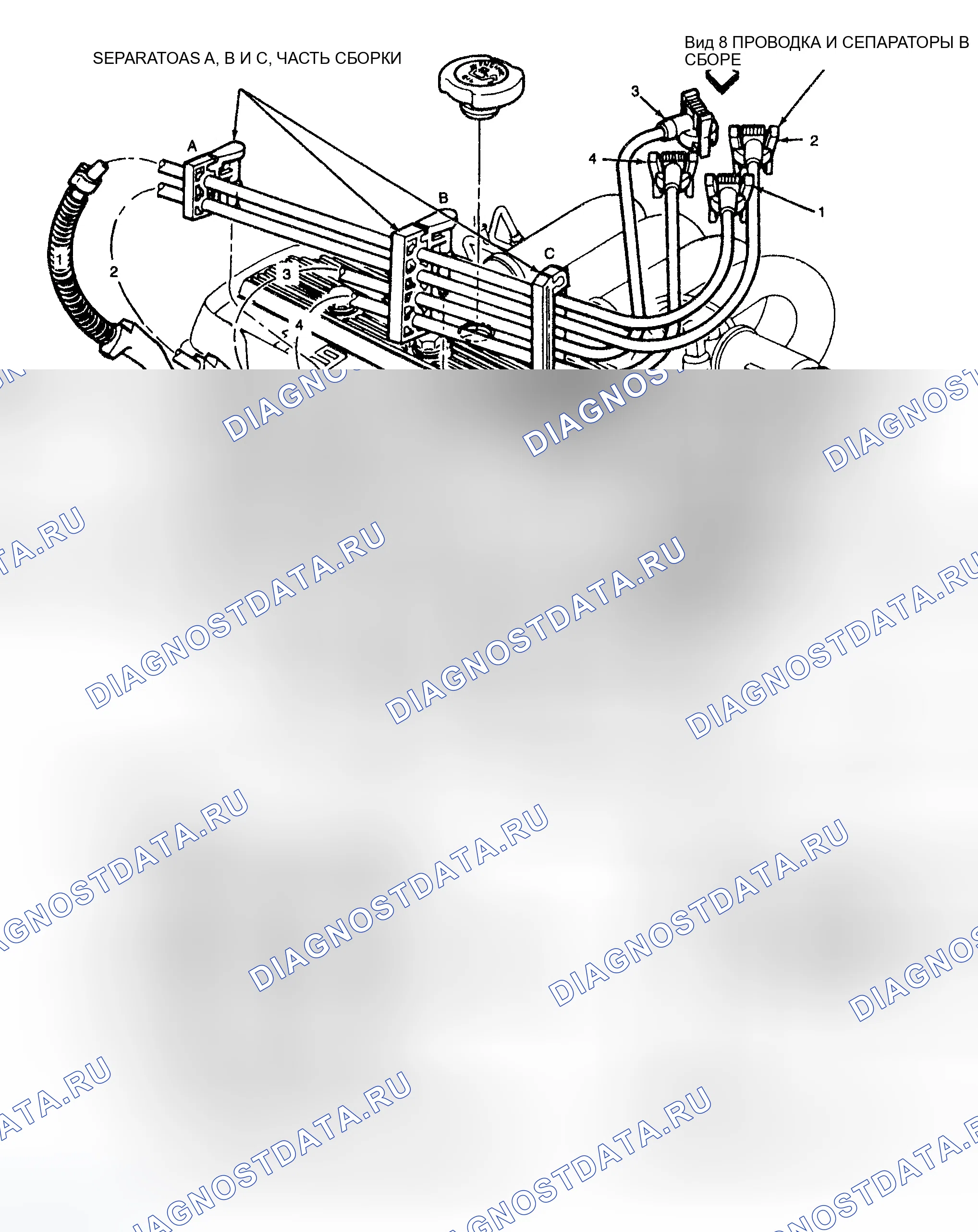 Рис. 4: РАЗВОДКА ПРОВОДОВ СВЕЧИ ЗАЖИГАНИЯ (1.9л). Ford Escort V рестайлинг