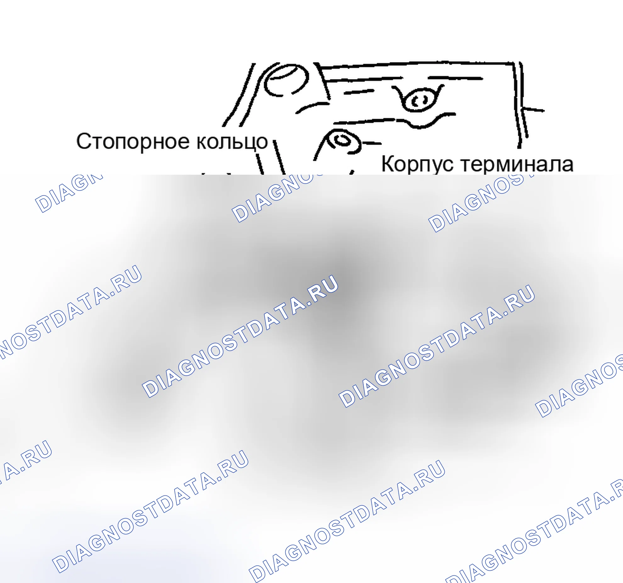 Рис. 268. Nissan Sentra B15