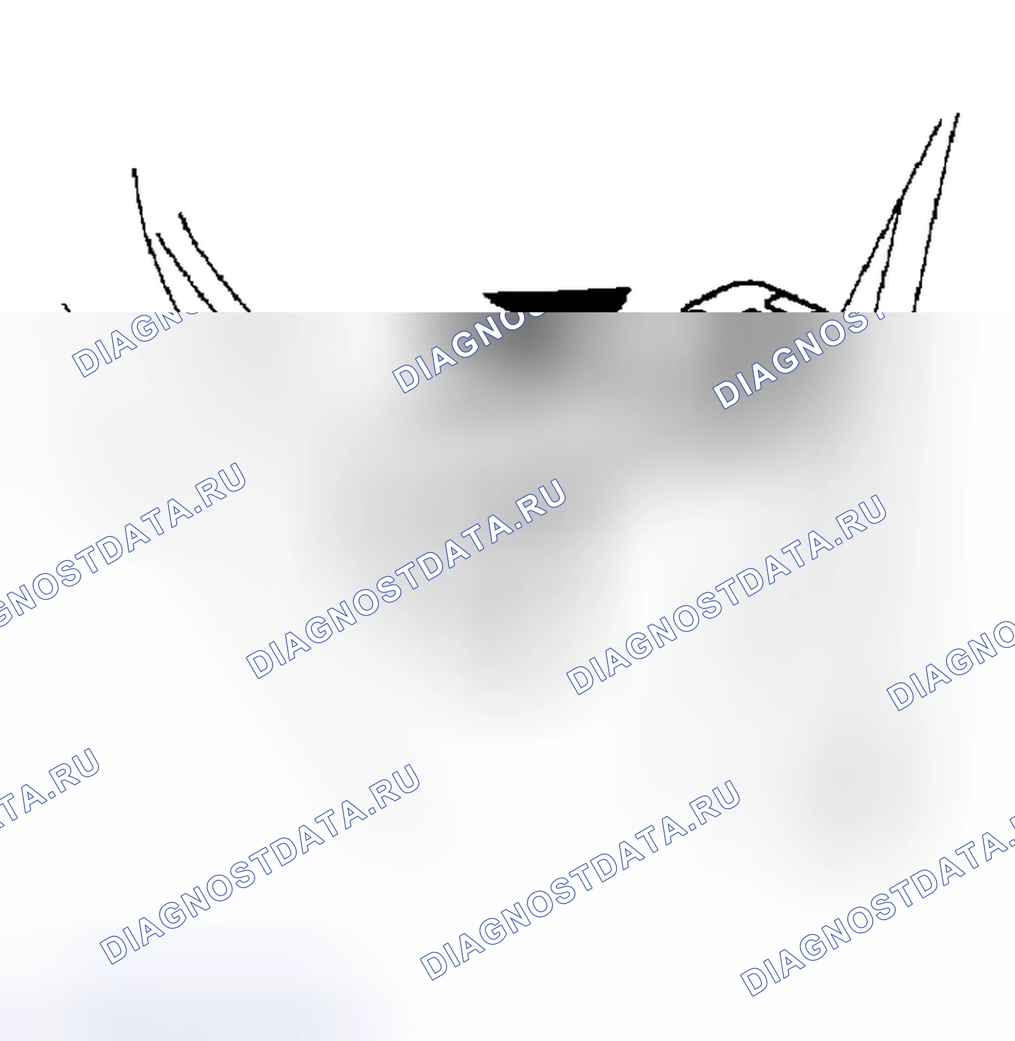 Рис. 151. Haval H5 I