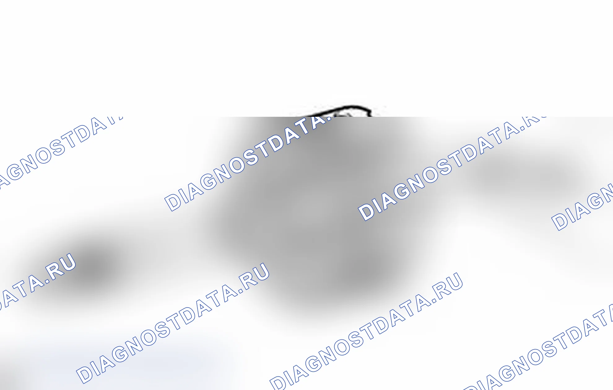 Рис. 261. Lexus IS F I