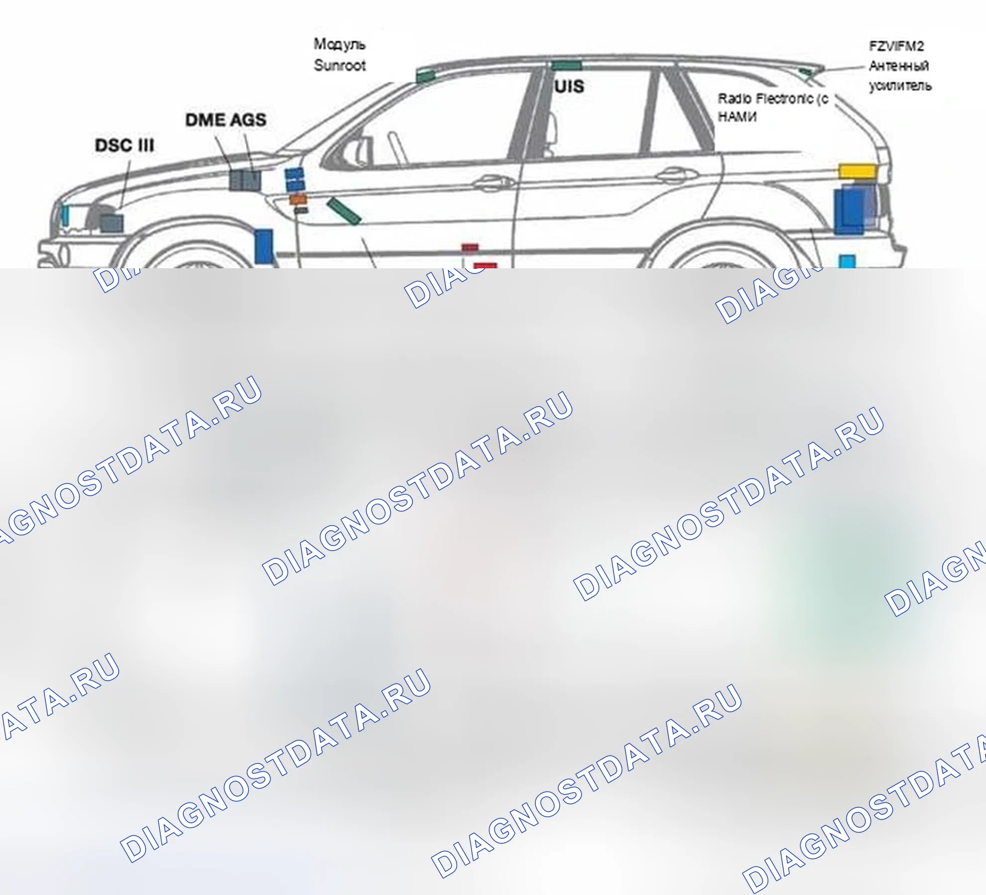 Рис. 216: Определение местоположения компонентов. BMW X5 E53